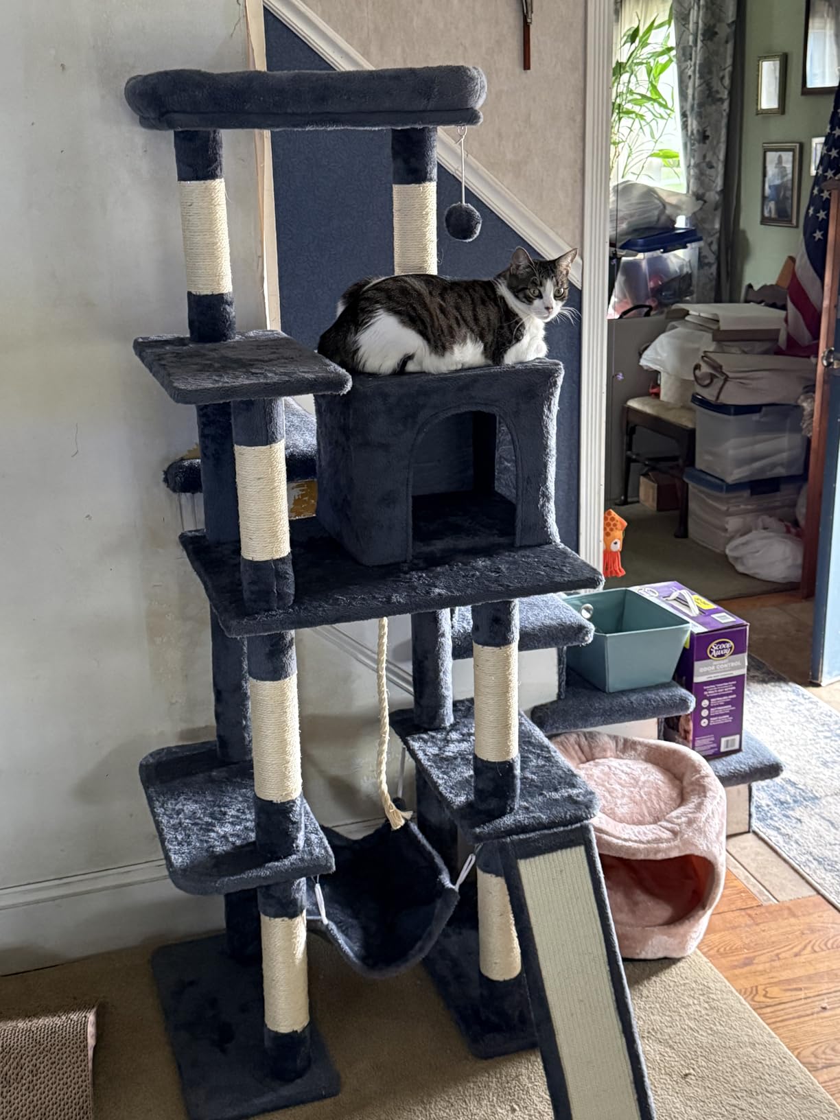 Yaheetech 63in Sturdy Large Cat Tree for Indoor Heavy Cats, Tall Tower | Plush condo, hammock, sisal scratching posts, multi-pet friendly, easy to assemble, stable wide base customer photo 1
