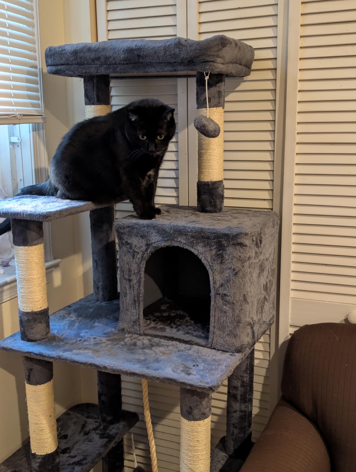 Yaheetech 63in Sturdy Large Cat Tree for Indoor Heavy Cats, Tall Tower | Plush condo, hammock, sisal scratching posts, multi-pet friendly, easy to assemble, stable wide base customer photo 2
