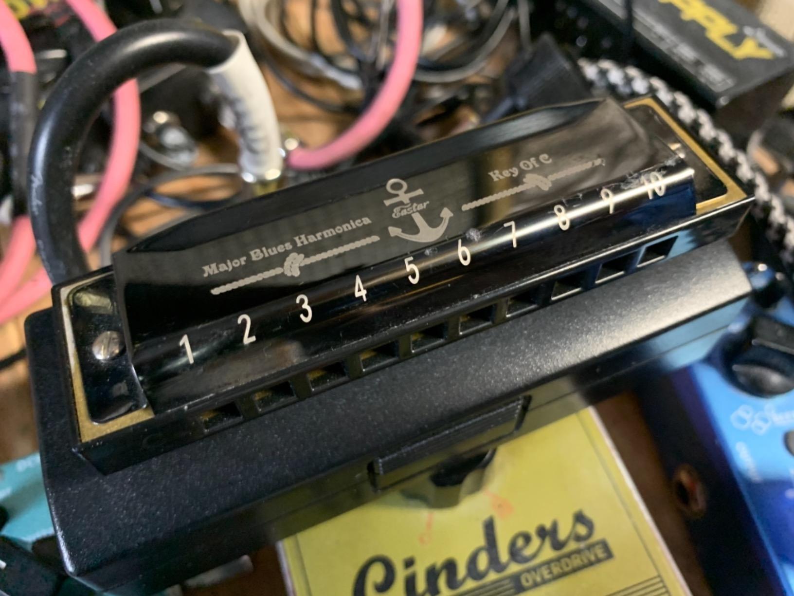 Eastar Major 7-Key Diatonic Blues Harmonica Kids C D E F G A Bb, 7-Pack Kit customer photo 1