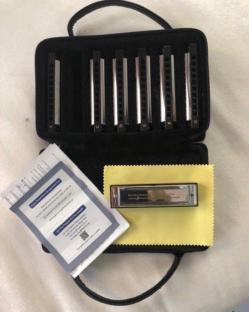 Eastar Major 7-Key Diatonic Blues Harmonica Kids C D E F G A Bb, 7-Pack Kit customer photo 2
