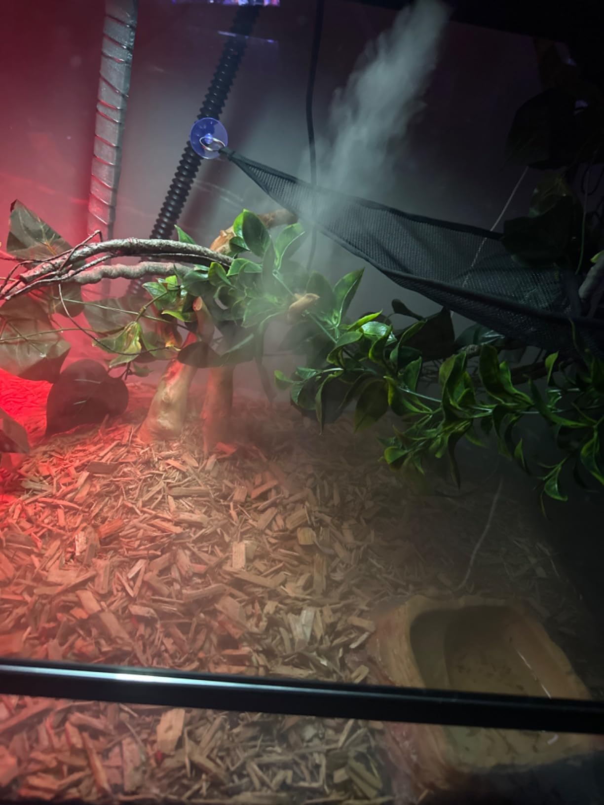REPTI ZOO 4L Reptile Fogger Mister Tank, Terrariums Digital Tank Timing Humidifier Smart Touch Screen Adjustable Fogger for Reptiles Amphibians Herps customer photo 2