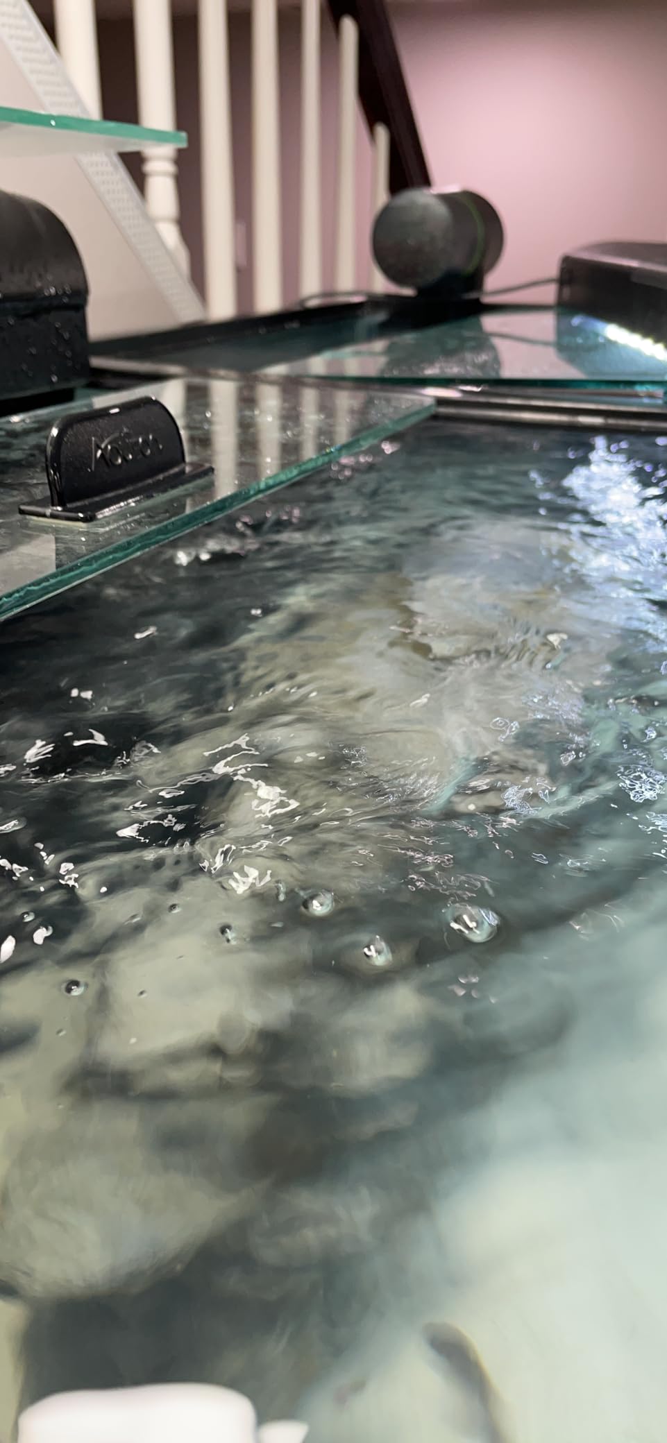 FREESEA Magnetic Wave Maker for Aquarium: 1s Mounts on 15mm Glass Secure | 8W 1600GPH 180 Degree Adjustable Dual Heads Eliminate Dead Spots Improve Water Quality for 55-125 Gallon Fish Tank customer photo 1