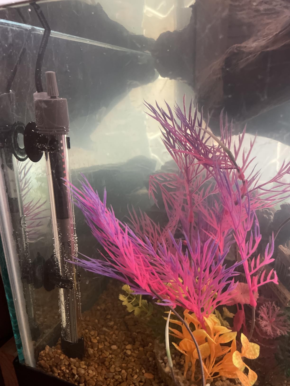 HITOP 300W Adjustable Aquarium Heater, Submersible Fish Tank Heater Thermostat with Suction Cups for 45-65Gal customer photo 1