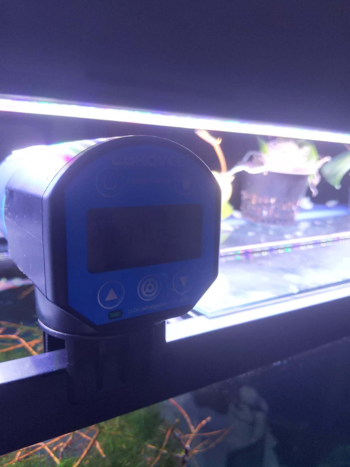 Lukovee Automatic Fish Feeder, USB Rechargeable Timer, 200ML Large Capacity | Feeding Time Display, Moisture-Proof, Aquarium Fish Tank Food Dispenser for Vacation Weekend Holiday, Blue customer photo 2