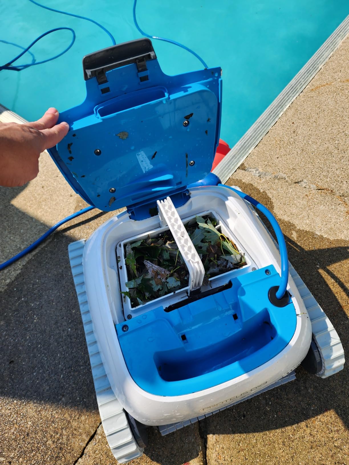 Dolphin Proteus DX3 Automatic Robotic Pool Vacuum Cleaner, Wall Climbing, Active Scrubber Brush, Ideal for In-ground Pools up to 33 FT in Length customer photo 1