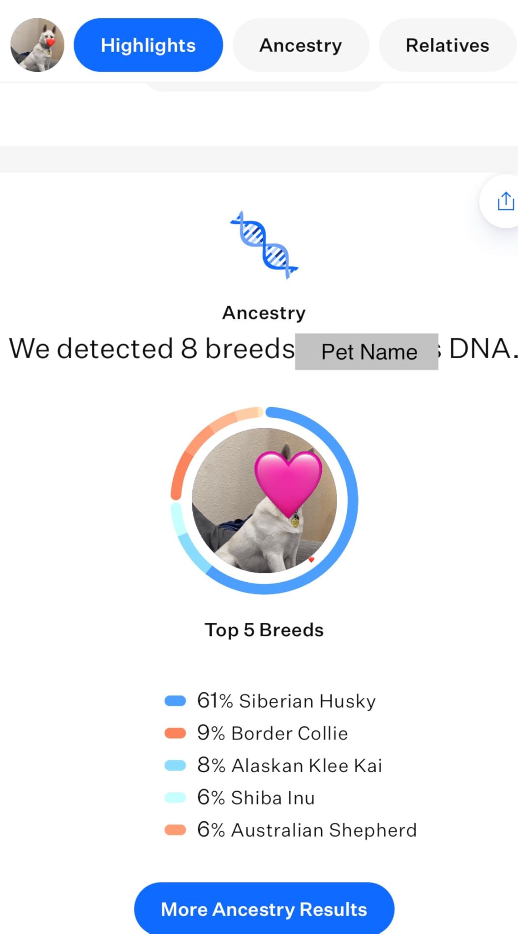 Wisdom Panel Premium Dog DNA Testing Kit - Most Comprehensive Test - 265+ Health Tests, 430+ Dog Breeds, 50+ Traits, Relatives, Ancestry, 1 Pack customer photo 2