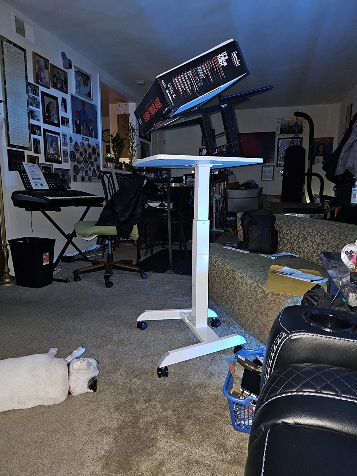 Mount-It! Adjustable Rolling Laptop Desk, Mobile Standing Desk with Wheels, Small Sit-Stand Computer Cart for Home, Office, or Classroom, 29.6-44.2