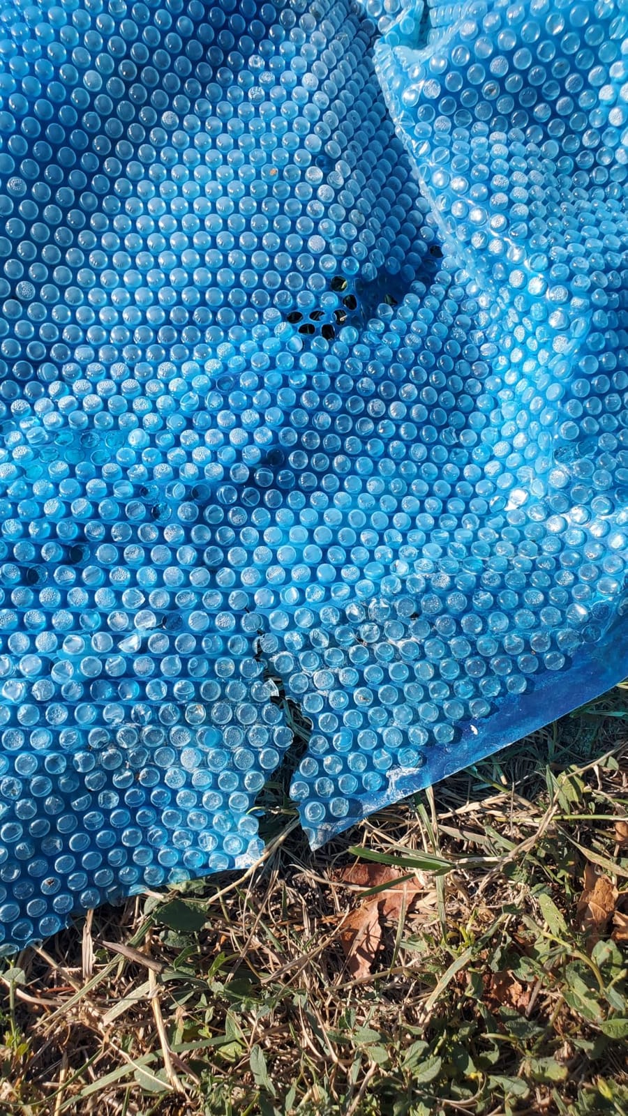Doheny's Clear-Tek Micro Bubble Solar Pool Cover for Above Ground Swimming Pools | Increase Solar Energy Absorption, Retain Heat, Reduce Evaporation | 18 ft Round Blue 1600 customer photo 2