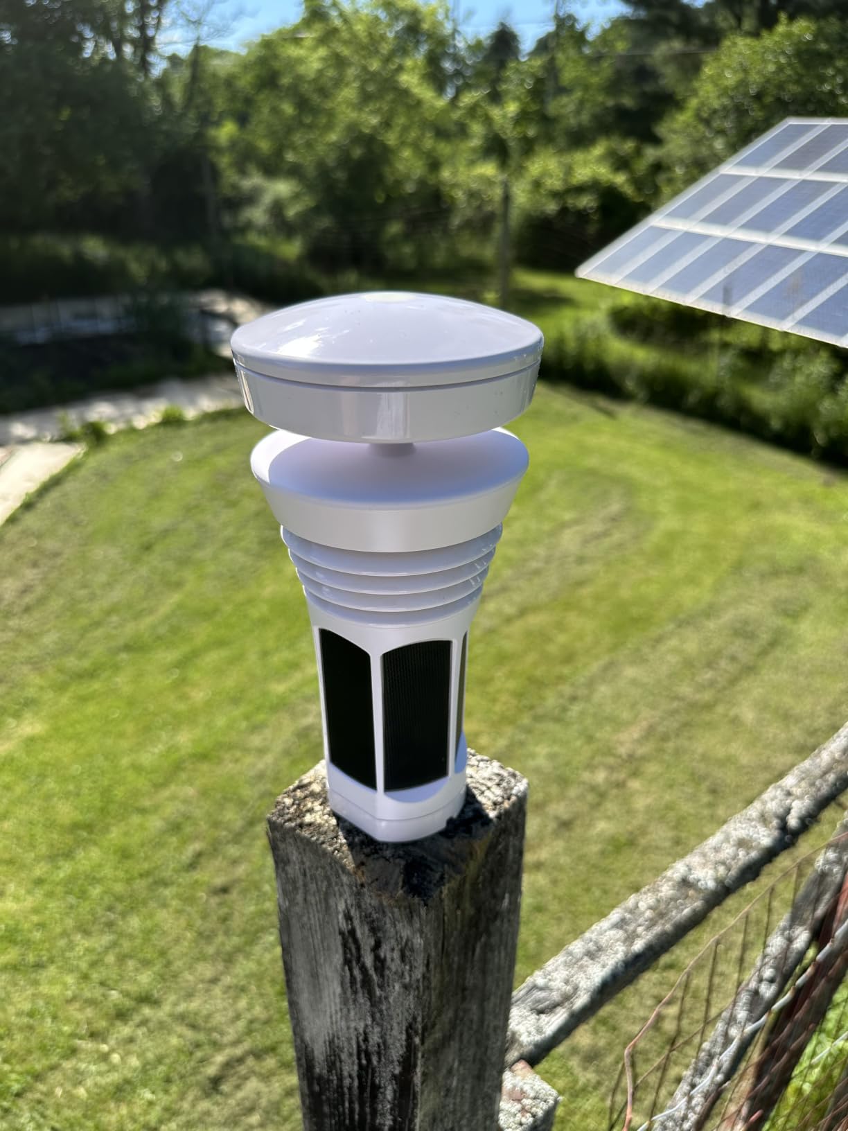 Tempest Weather Station with Built-in Wind Meter, Rain Gauge, and Accurate Weather Forecasts, Wireless, App and Alexa Enabled customer photo 2