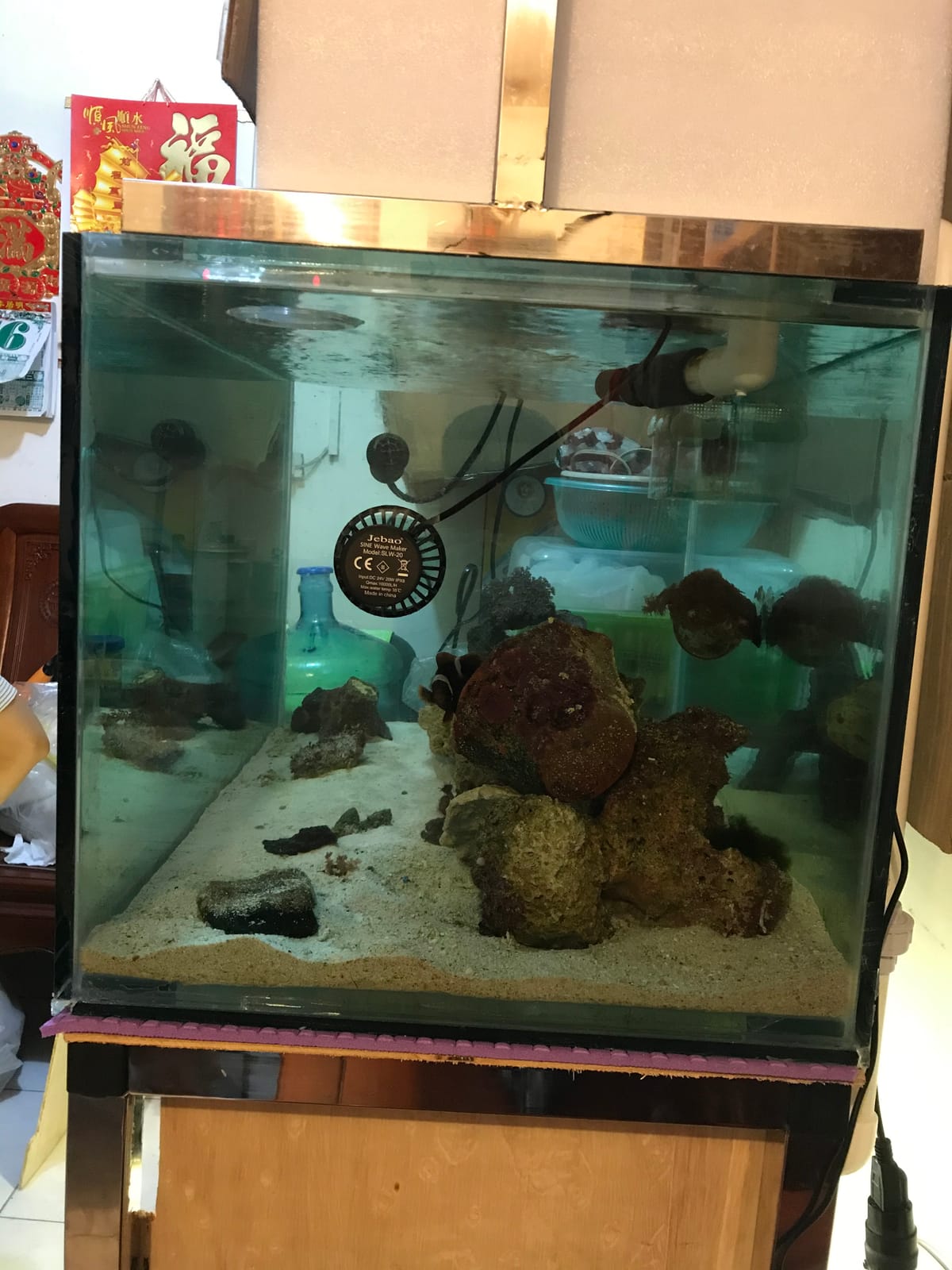 Jebao SLW Wave Maker Flow Pump with Controller for Marine Reef Aquarium (SLW-20, 2641 GPH) customer photo 2