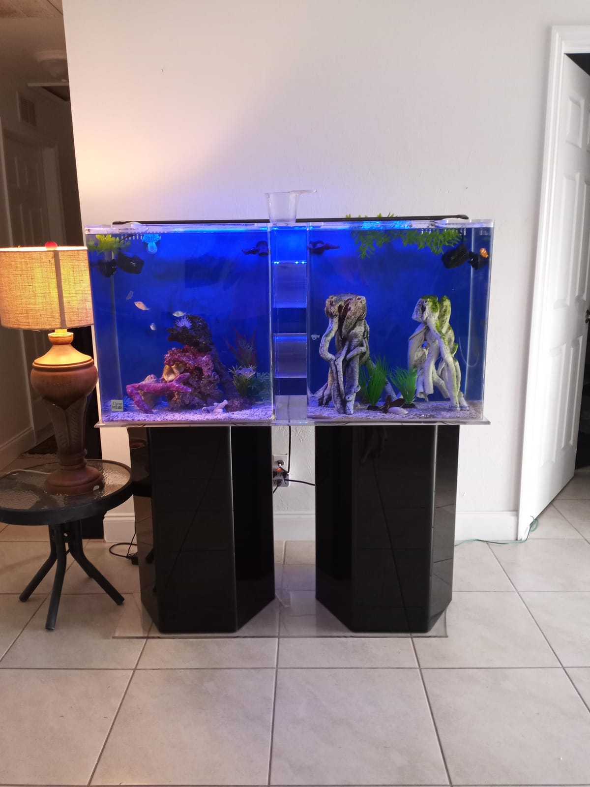 AQUANEAT Circulation Pump, 800GPH Aquarium Wave Maker, Fish Tank Powerhead Submersible Water Pump with Suction Cup customer photo 1