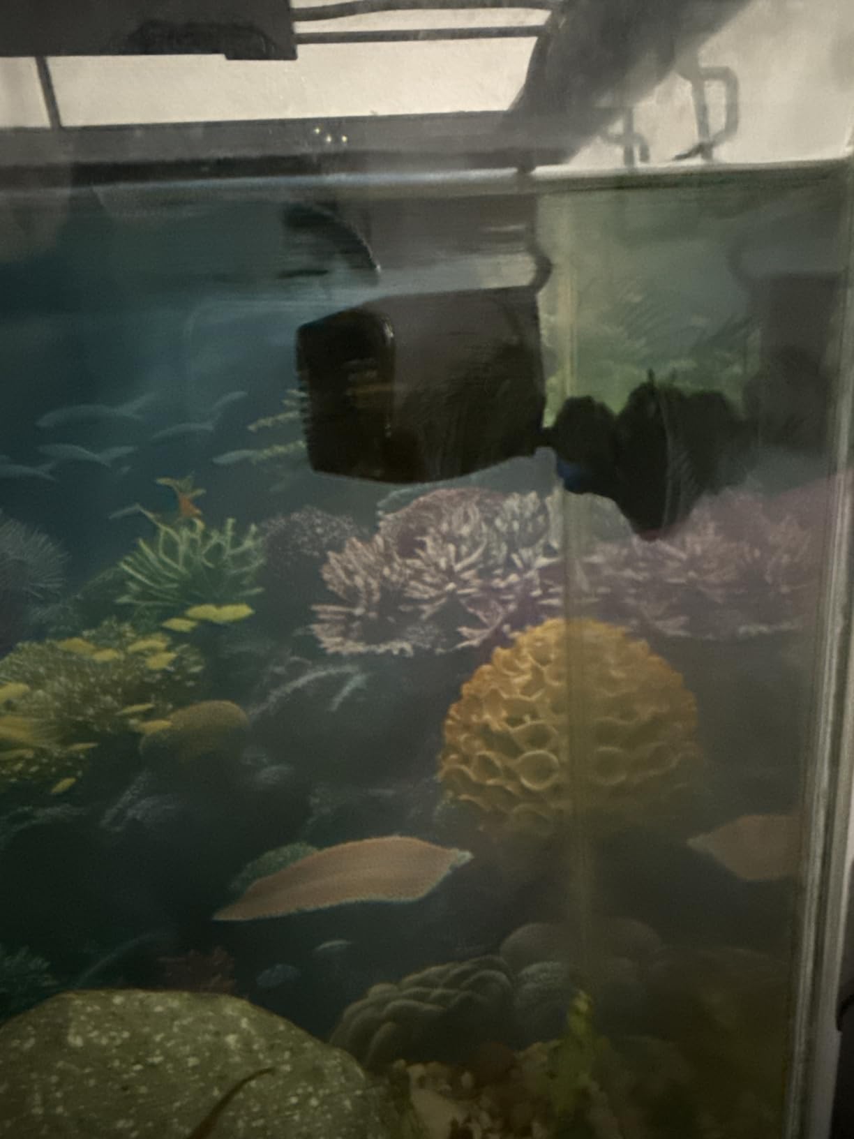 AQUANEAT Circulation Pump, 800GPH Aquarium Wave Maker, Fish Tank Powerhead Submersible Water Pump with Suction Cup customer photo 2
