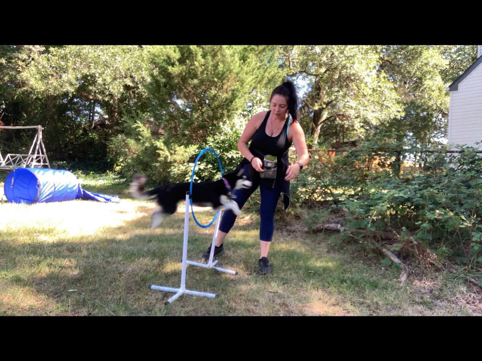 Better Sporting Dogs Agility Course Backyard Set - 7pc customer photo 2