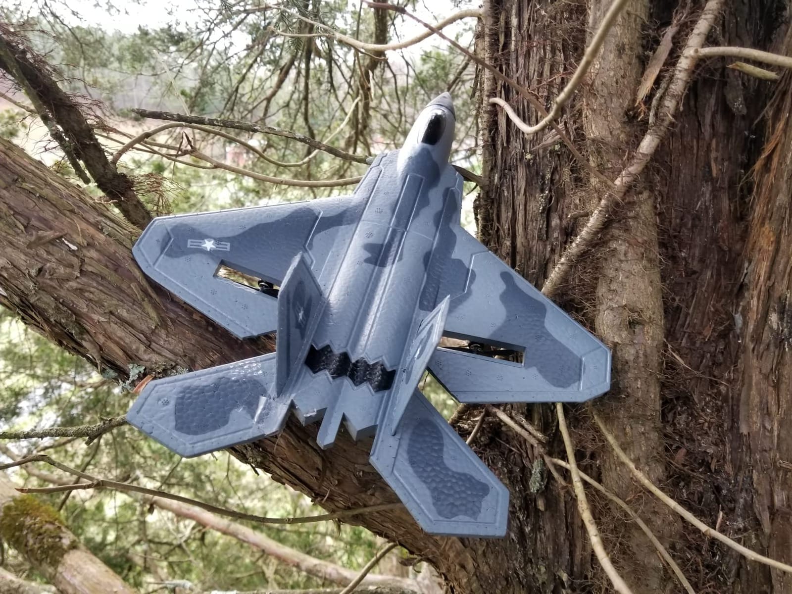 2CH F-22 RC Glider, Easy Fly RC Plane for Kids & Beginners customer photo 1