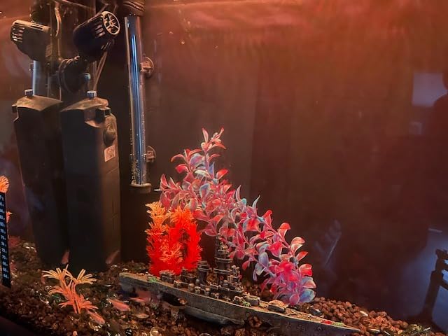 Orlushy Submersible Aquarium Heater, 500W Fish Tank Heater with Adjust Knob Thermostat 2 Suction Cups and Free Thermometer Suitable for Marine Saltwater and Freshwater (500W) customer photo 2