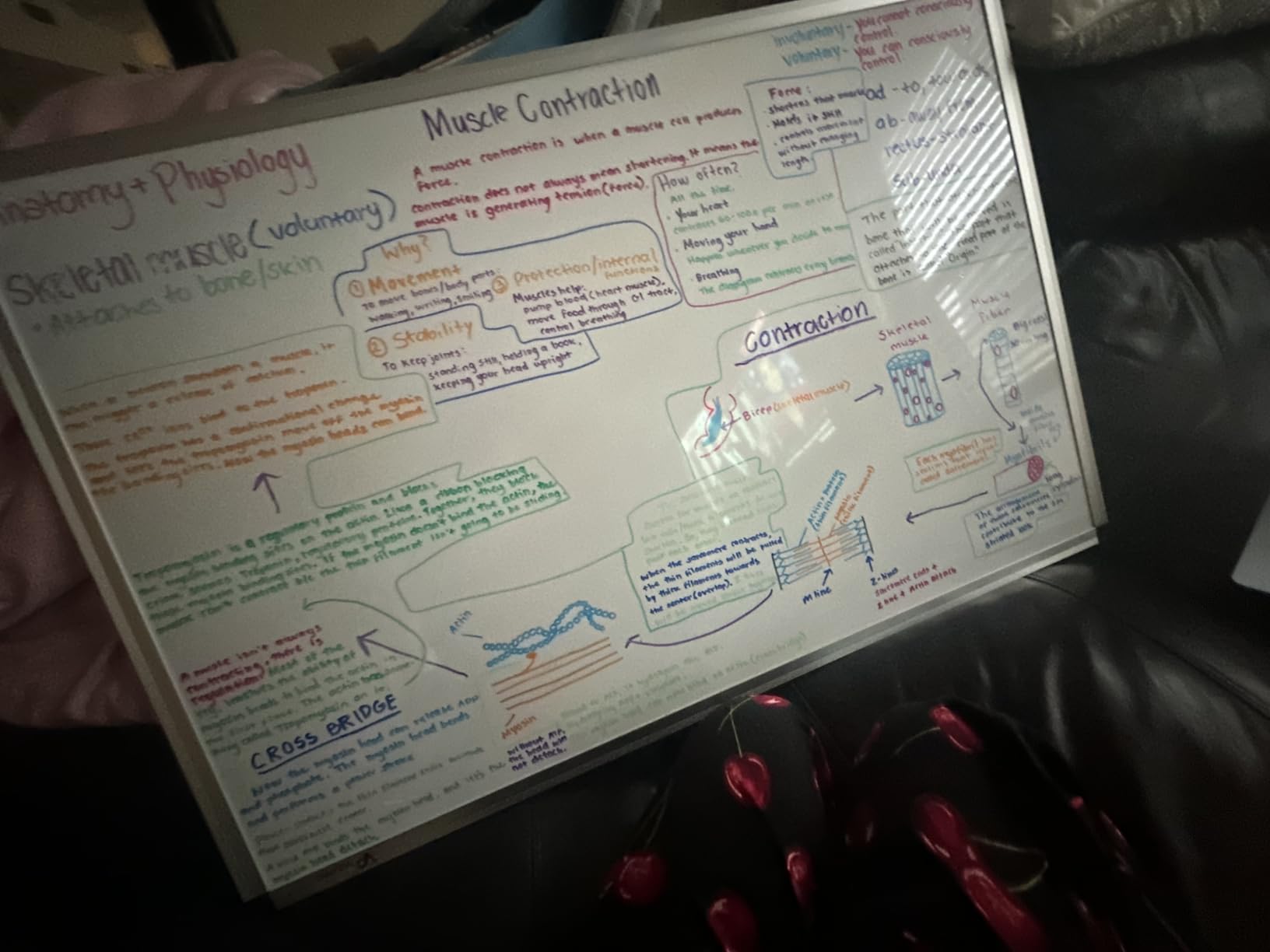 VIZ-PRO Dry Erase Board/Magnetic White Board, 48 X 32 Inches, Silver Aluminium Frame customer photo 1