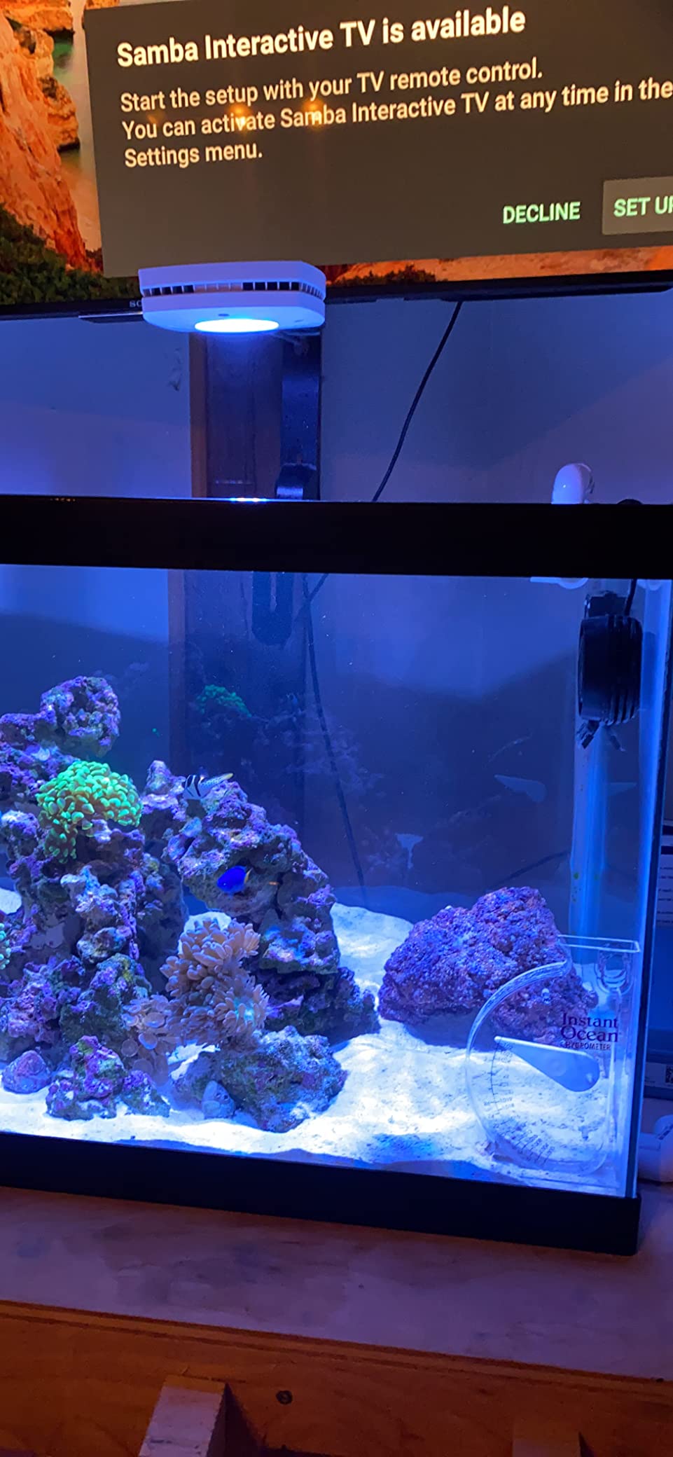 AquaIllumination AI Nero 3 Submersible Wavemaker Pump with Fish Guard, 2,000 GPH Powerful Water Flow for Saltwater & Reef Aquariums, Compact Quiet Pump with Magnetic Mount customer photo 2