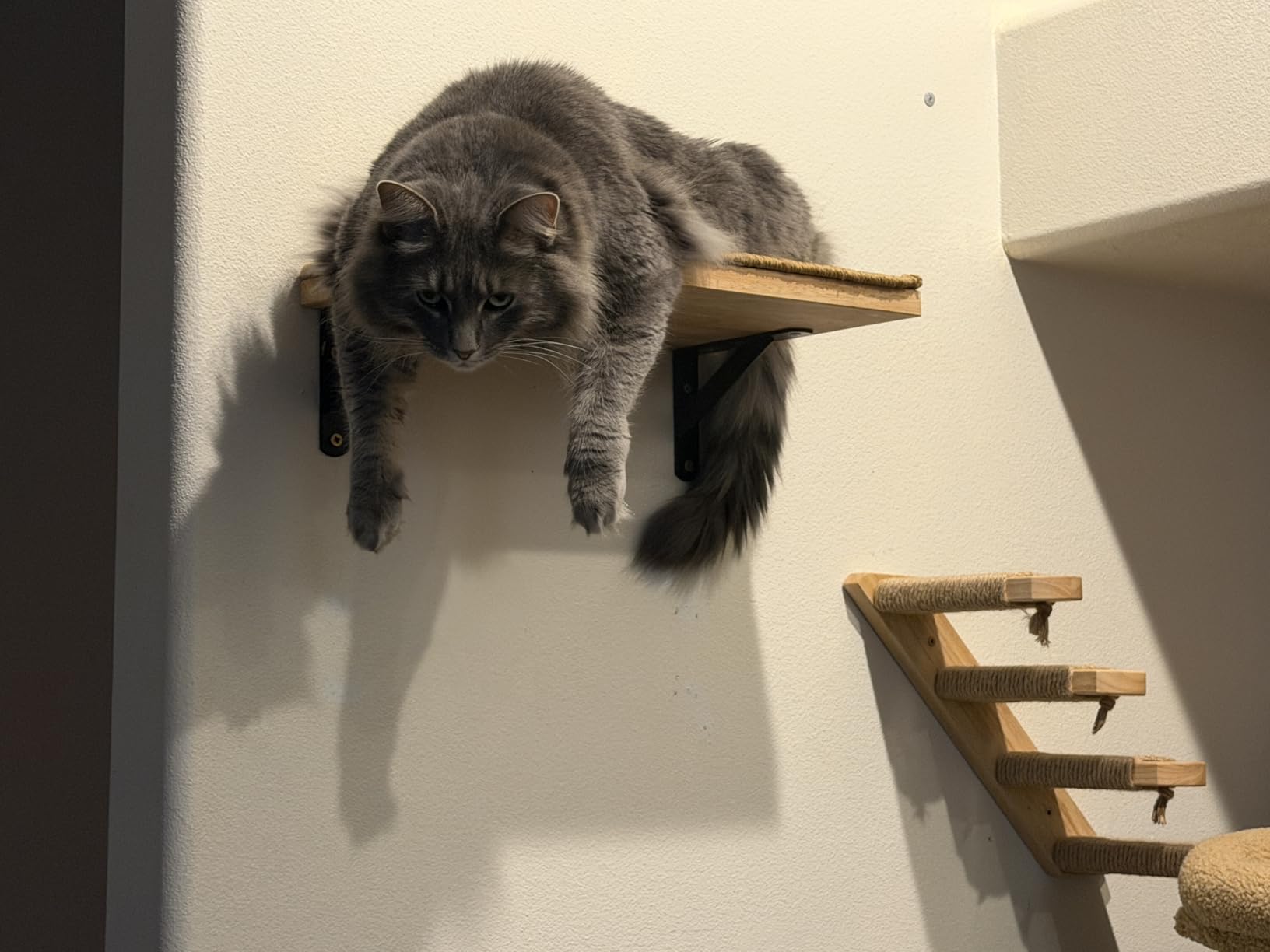 FUKUMARU Cat Wall Shelves, 17 x 10 Inch, Sisal Mat | Solid Rubber Wood Floating Shelf with Upgraded Installation, Kitten Wall Furniture for Sleeping, Playing and Scratching customer photo 1
