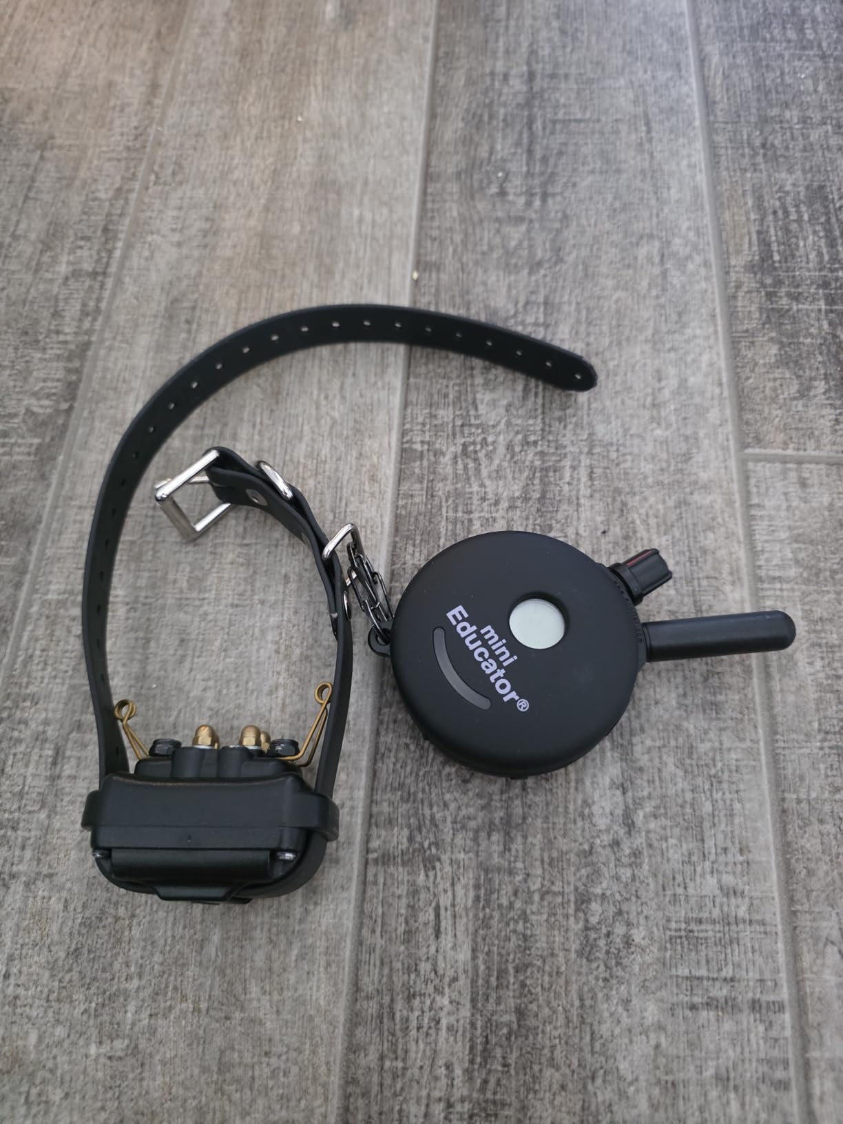 Educator ET-300 Black Mini E Collar for Dog Training with Remote - 1/2 Mile Range, Waterproof, 100 Blunt Stimulation Levels, Tone or Vibration Mode, Night Light Tracking for Small, Medium & Large Dogs customer photo 2