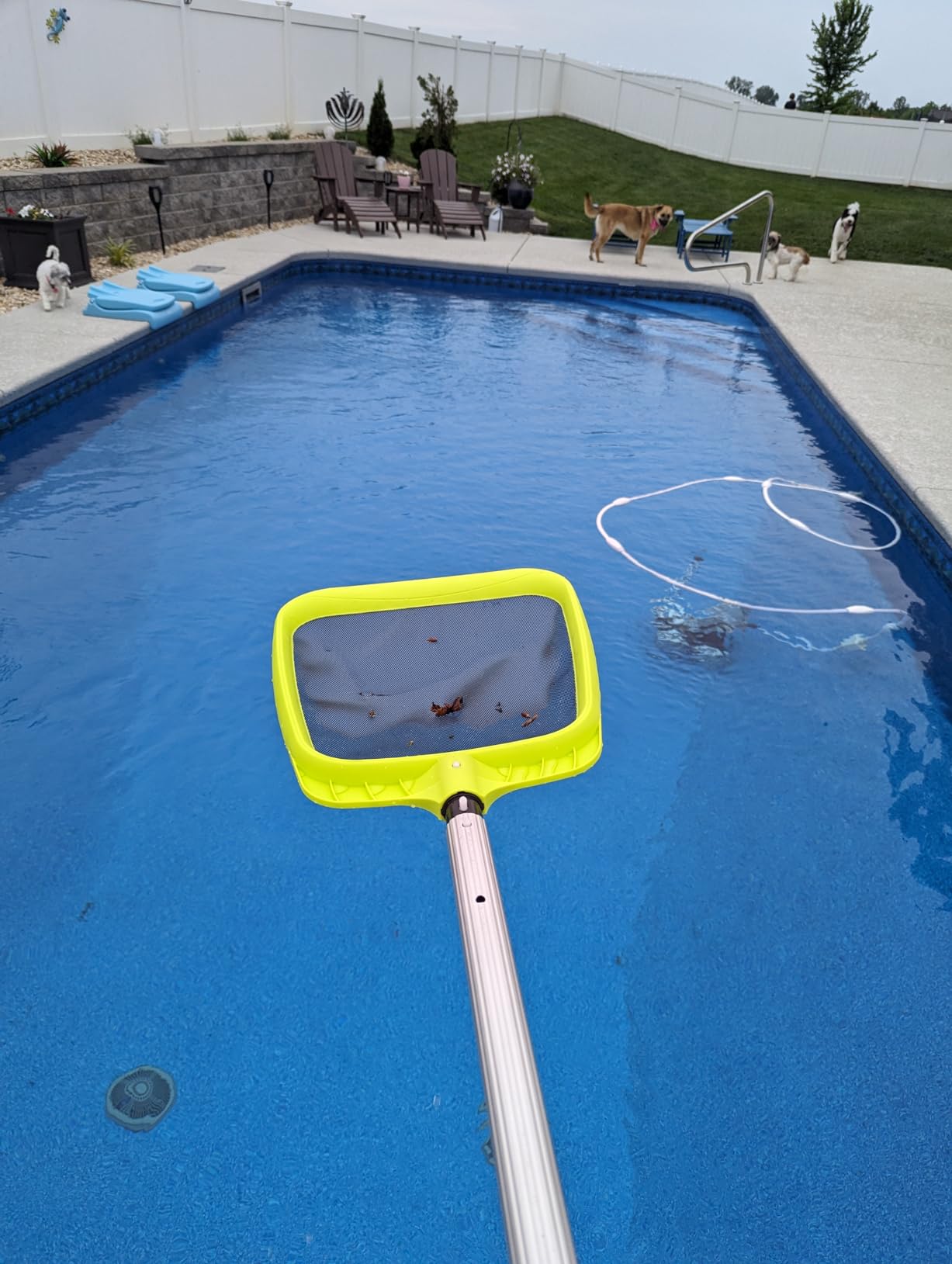 Sepetrel Pool Skimmer Net - Professional Heavy Duty Reinforced Frame Nylon Flat Leaf Rake Net, for Spa Pond Swimming Pool, Cleaning Supplies and Accessories, (Pole Not Included) customer photo 2