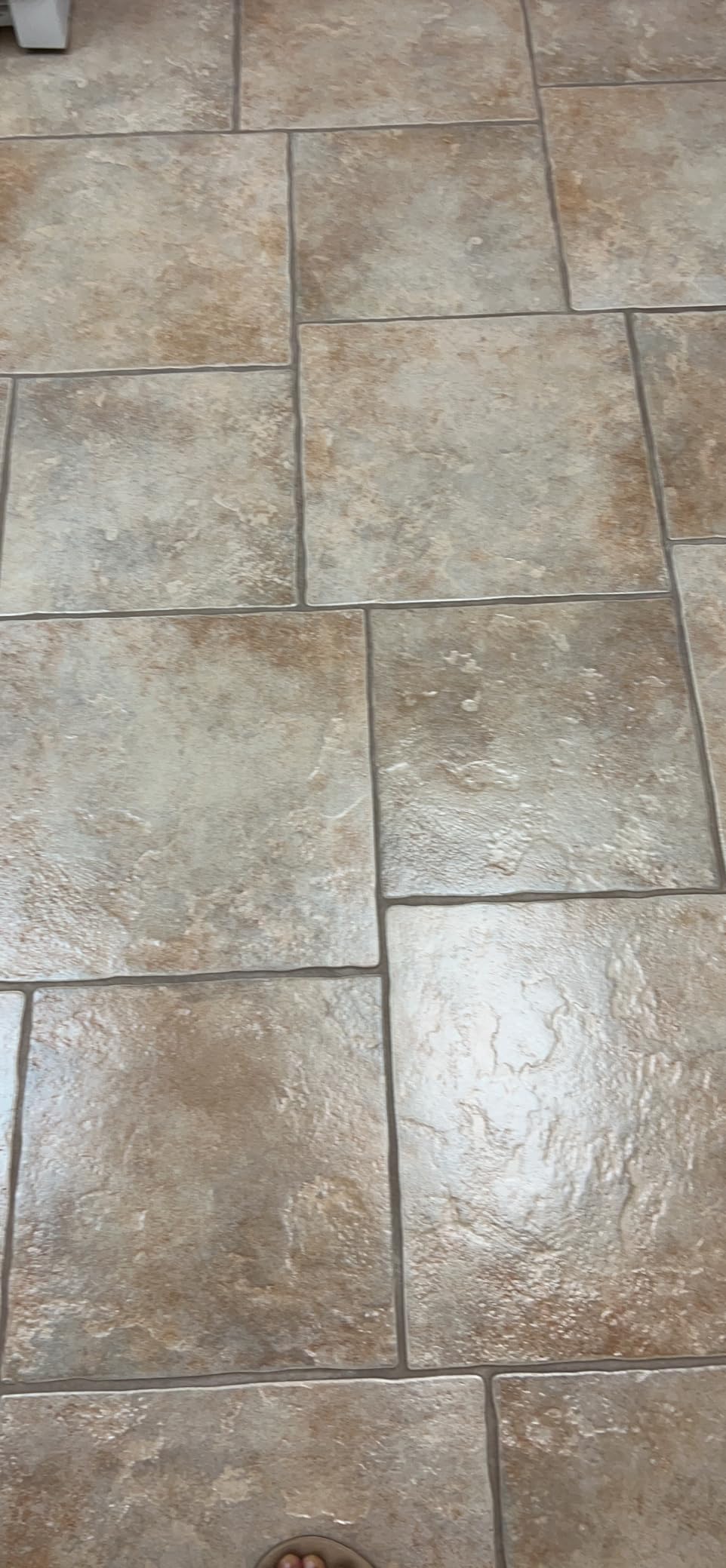 Prolux Core Heavy Duty 15 inch Floor Buffer Scrubber and Polisher Cleaning Machine - All floor surfaces customer photo 1