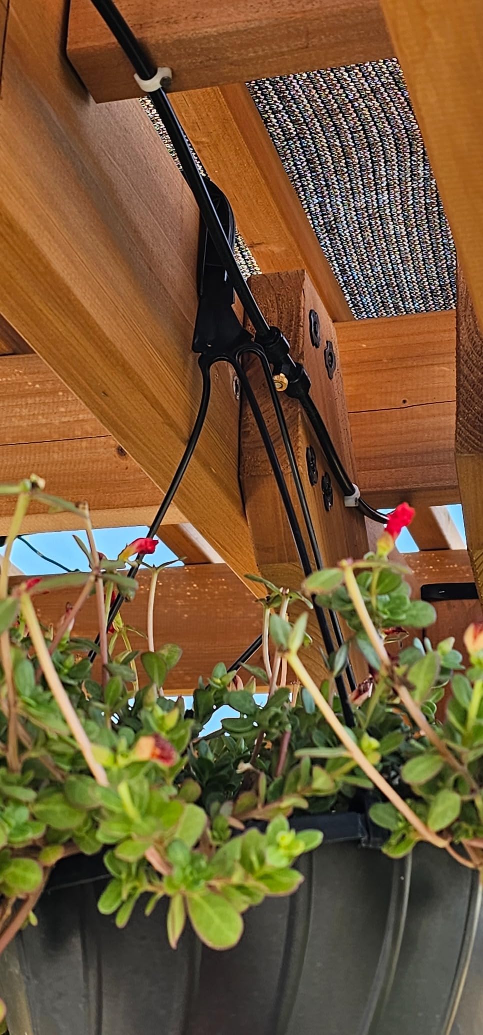 Bonviee 75FT Misters for Outside Patio, 28 Brass Nozzles, 3/4 Inch Adapter | 23M Outdoor Misting System for Patios, Gardens & Greenhouses, Preassembled Misting Line for Flexible DIY Cooling Layouts customer photo 1