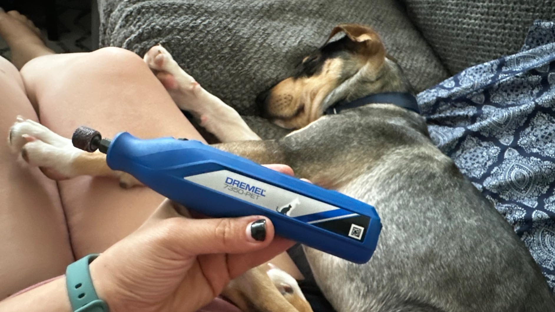 Dremel 7350-PET Dog Nail Grinder, Pet Grooming Kit for Dogs & Cats customer photo 1