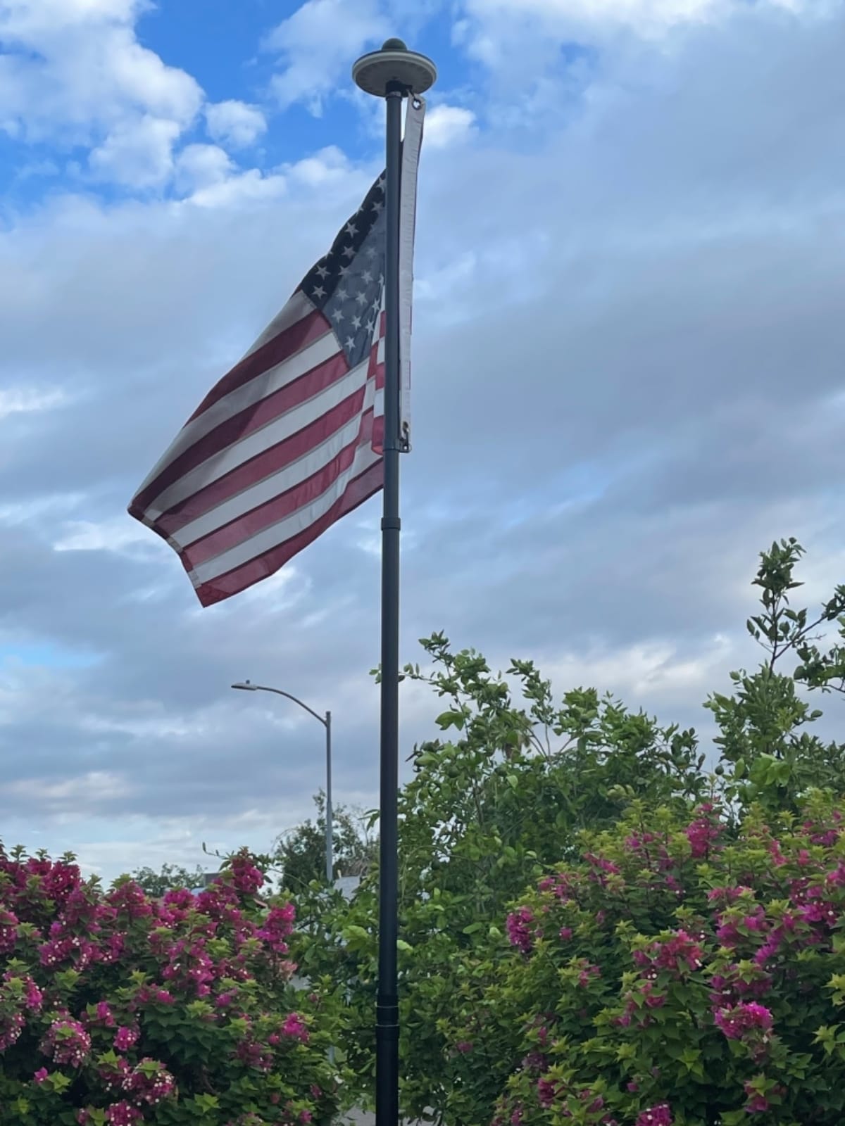 20 FT Telescoping Flag Pole, Heavy Duty Aerospace Aluminum Flagpole Kit | 45K PSI & 95 HBW Hard Flag pole for Outside House, Unbending Telescopic Outdoor In-Ground Flag Poles for Yard customer photo 2