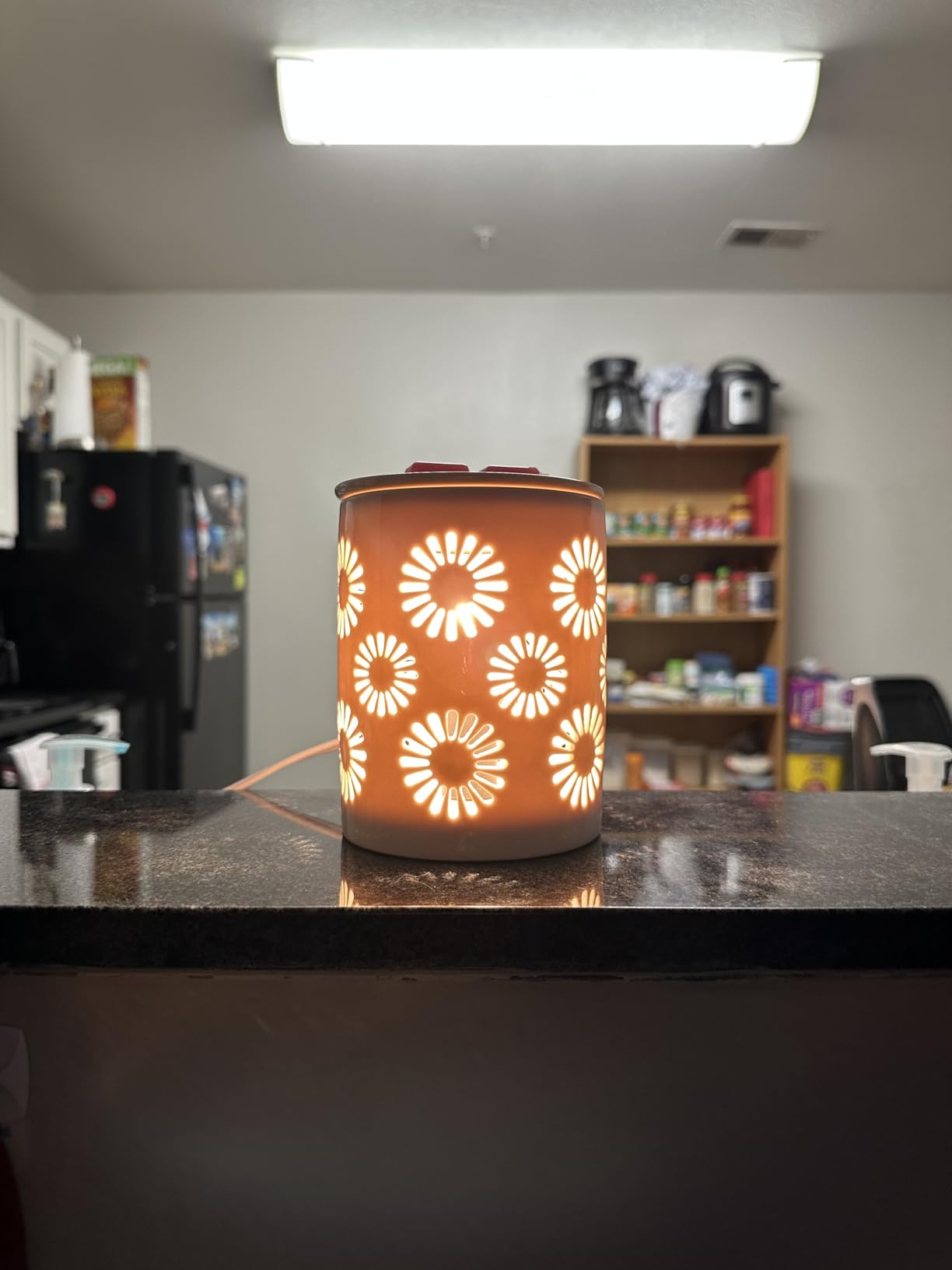 SALKING Ceramic Wax Melt Warmer, Electric Wax Warmer for Scented Wax, Candle Warmer Oil Burner with Edison Bulbs, Sunflower Fragrance Warmer Wax Cubes for Home, Bedroom, Birthday Gifts for Women customer photo 2