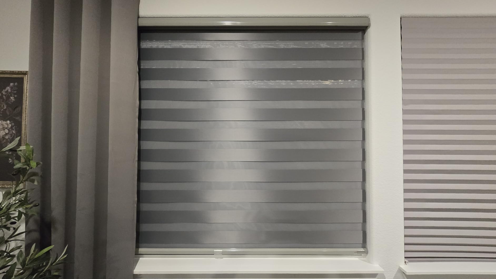 Persilux Cordless Zebra Blinds for Windows Free-Stop Roller Windows Shades (24