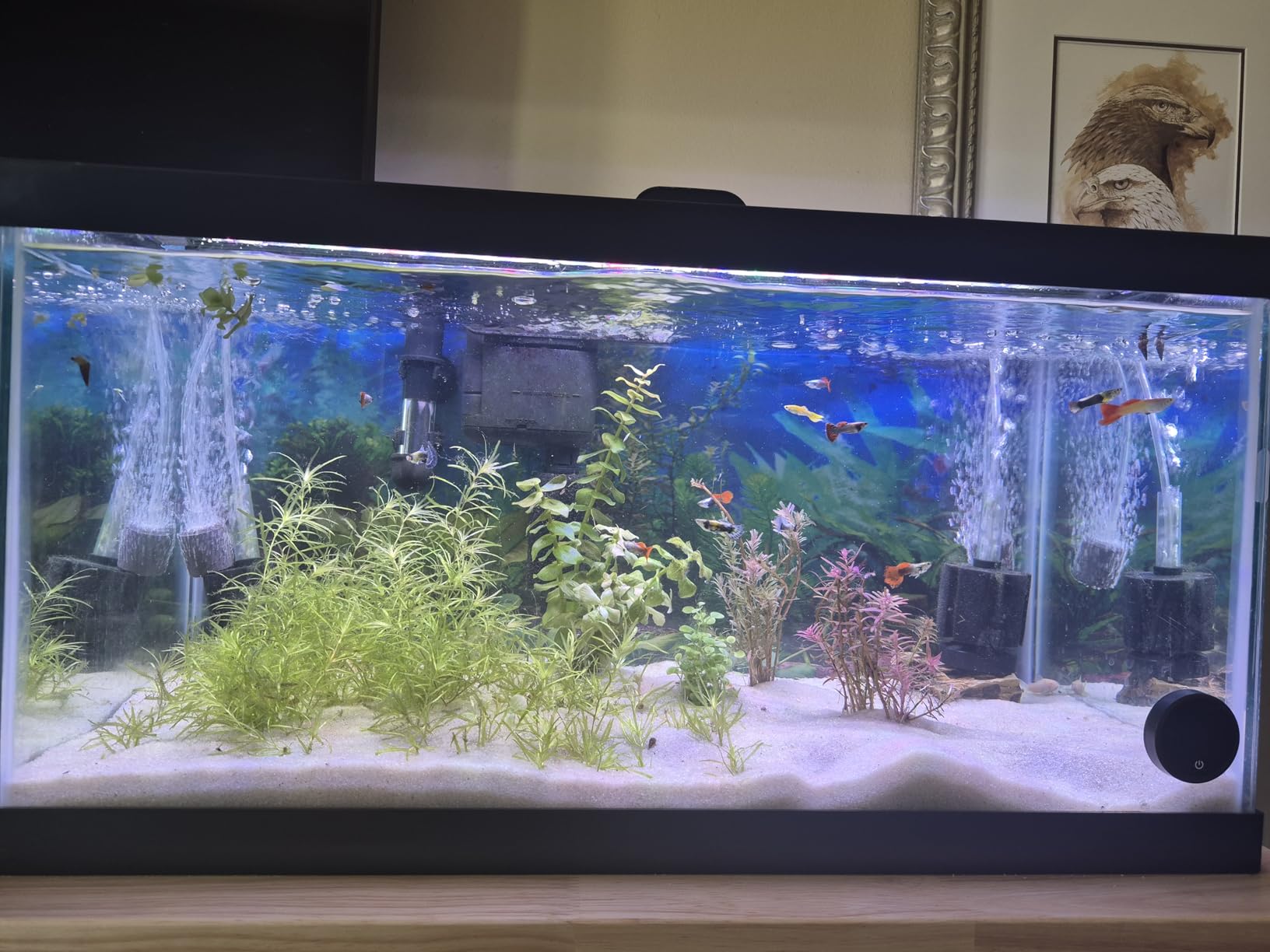 Tetra Water Cleaner Gravel Siphon for Aquariums Up to 55 Gal customer photo 2