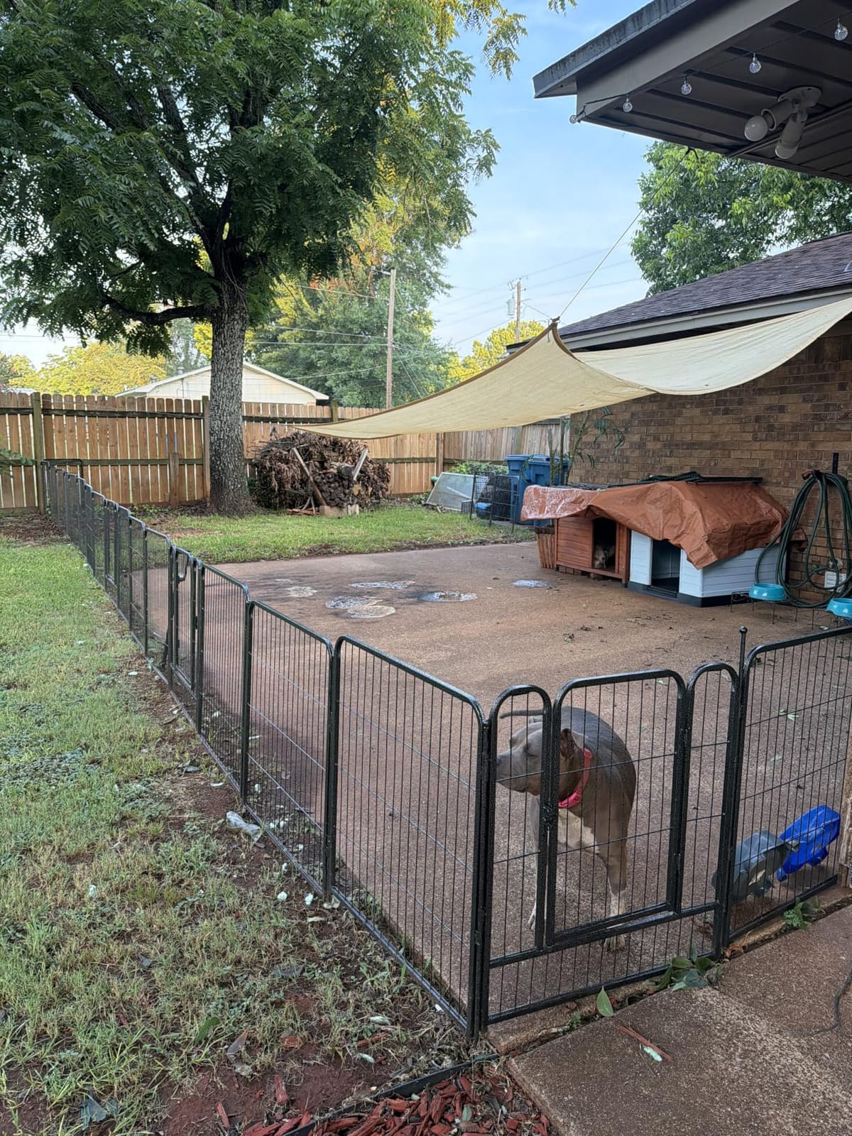 Dog Playpen, 32/40/45 Inch Height Heavy Duty, Folding Indoor Outdoor Anti-Rust Dog Exercise Fence, Portable Pet Playpen with Door for Large Medium Small Dogs (16 Panels, 32 Inch) Silver customer photo 1
