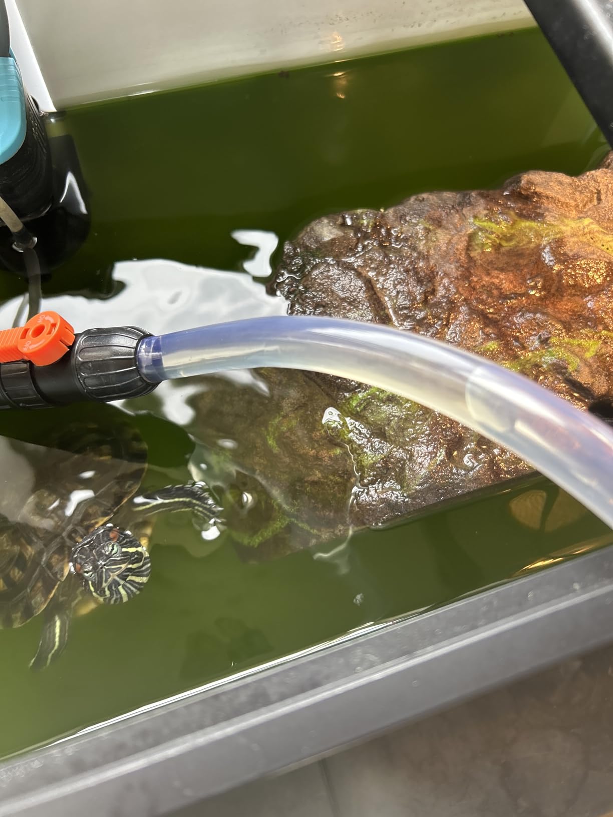 enomol Gravel Vacuum for Aquarium Water Changer Fish Tank Cleaning Tools, Siphon Universal Quick Pump Aquarium Water Changing (30ft) customer photo 1