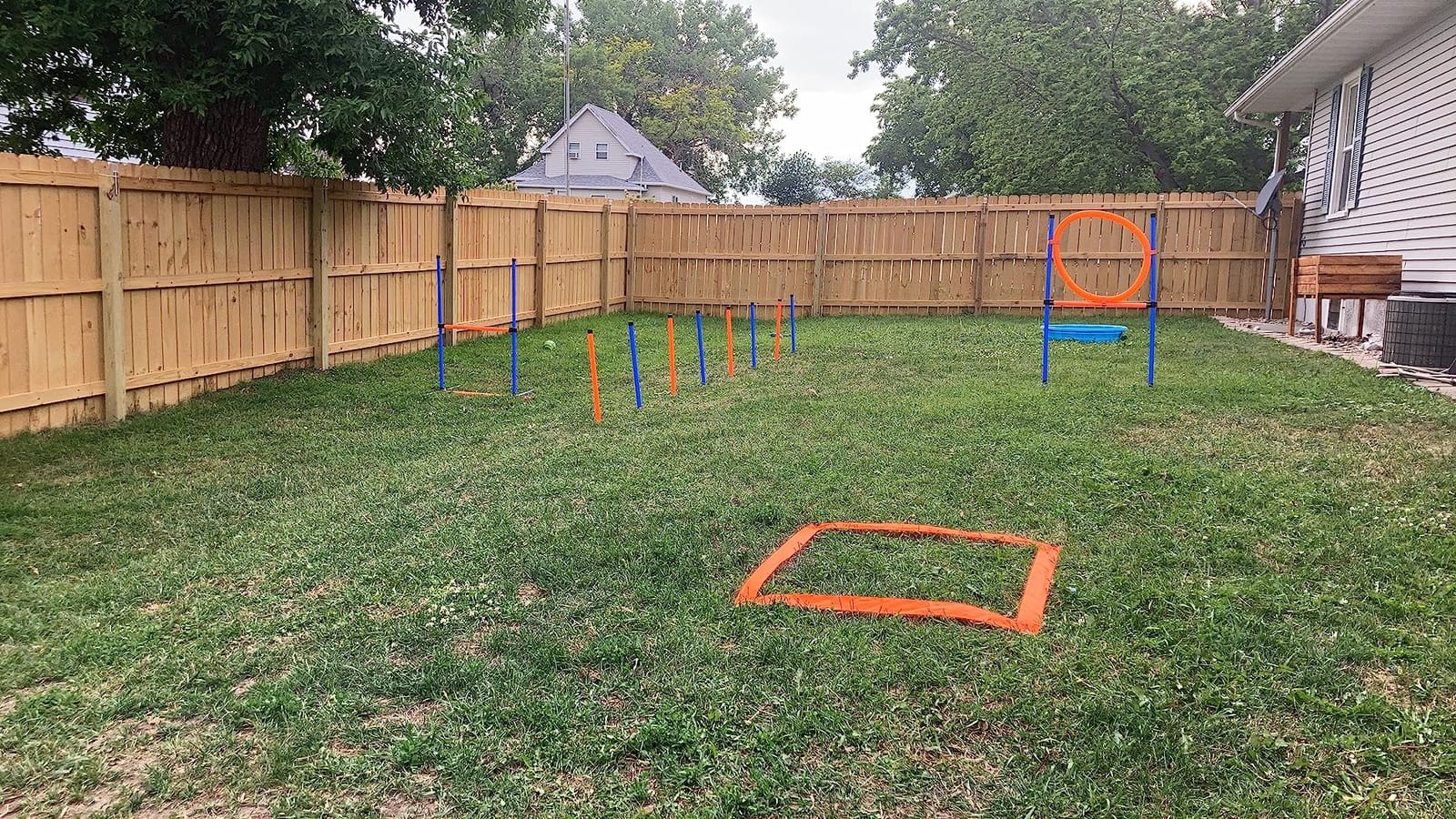 60-Piece Dog Agility Course Training Starter Kit with Tunnel, Agility Hurdle, Weave Poles, Jump Ring, Pause Box, Toy Balls and Storage Bag customer photo 2