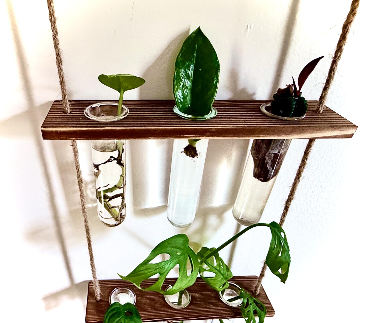 XXXFLOWER Wall Hanging Propagation Station with Wooden Stand 5 Glass Test Tubes 3 Tiered Planters Wall Terrarium for Home Office Plant Hanger Flower Vases Wall Decor Hydroponic Cuttings customer photo 1