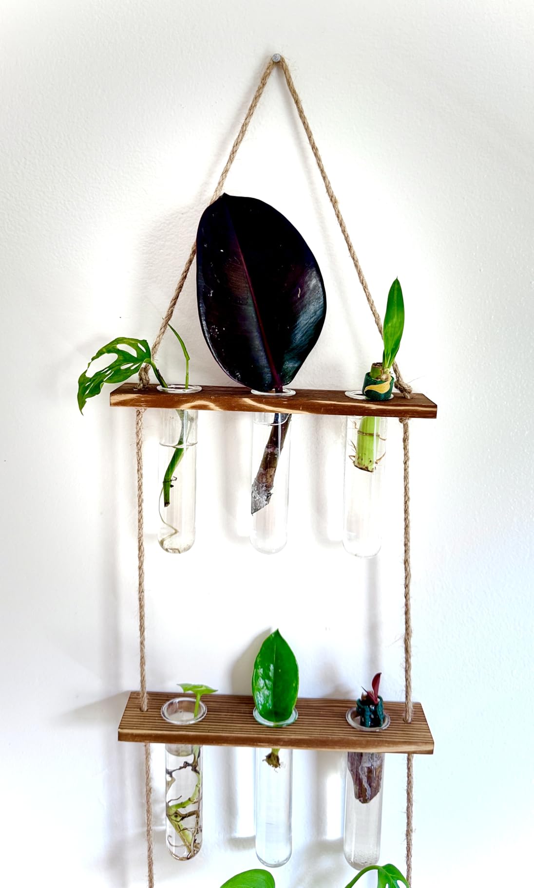 XXXFLOWER Wall Hanging Propagation Station with Wooden Stand 5 Glass Test Tubes 3 Tiered Planters Wall Terrarium for Home Office Plant Hanger Flower Vases Wall Decor Hydroponic Cuttings customer photo 2