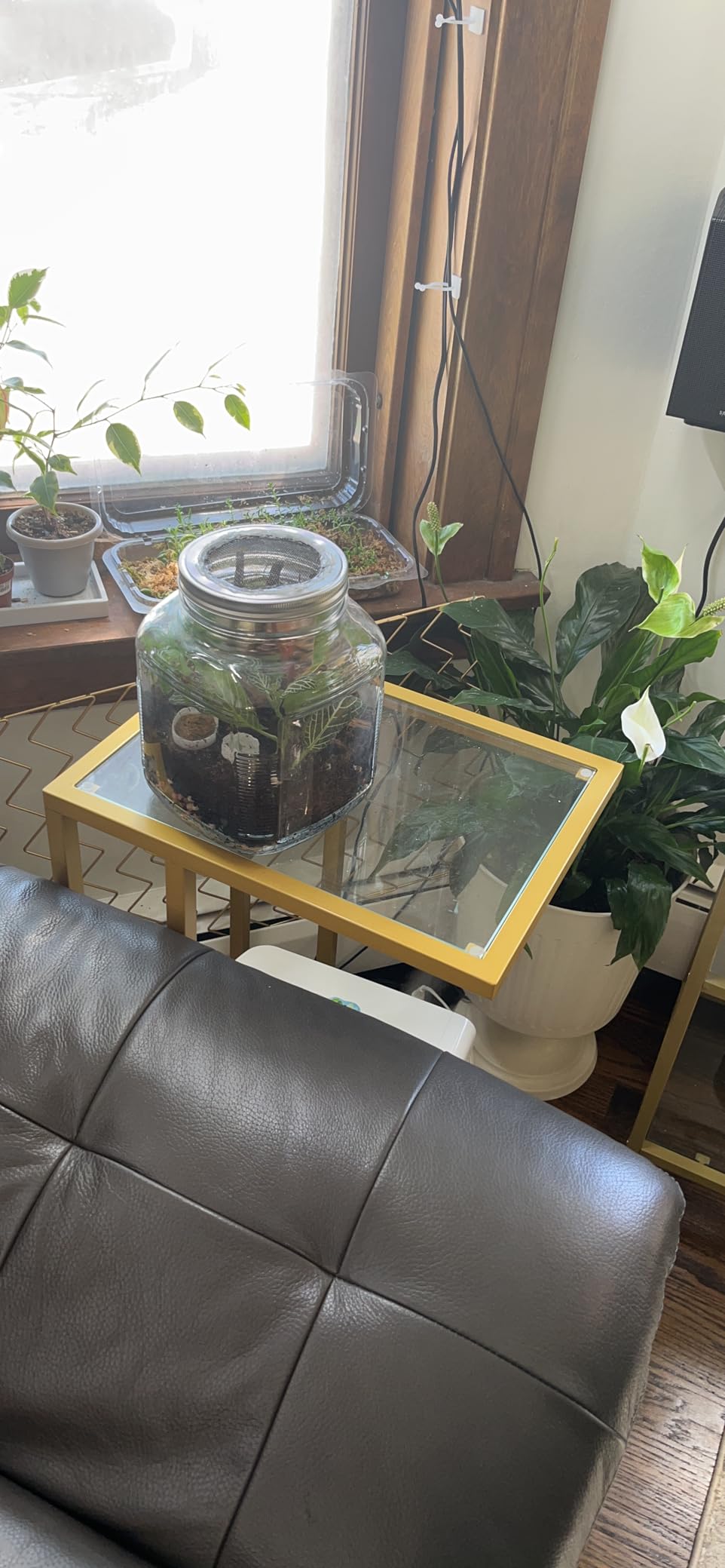 HOOBRO C Shaped End Table, Set of 2, Glass Side Table with Metal Frame | Gold Coffee Table for Small Space, Modern Style, for Living Room, Bedroom and Office, Gold GD03SFP201 customer photo 2