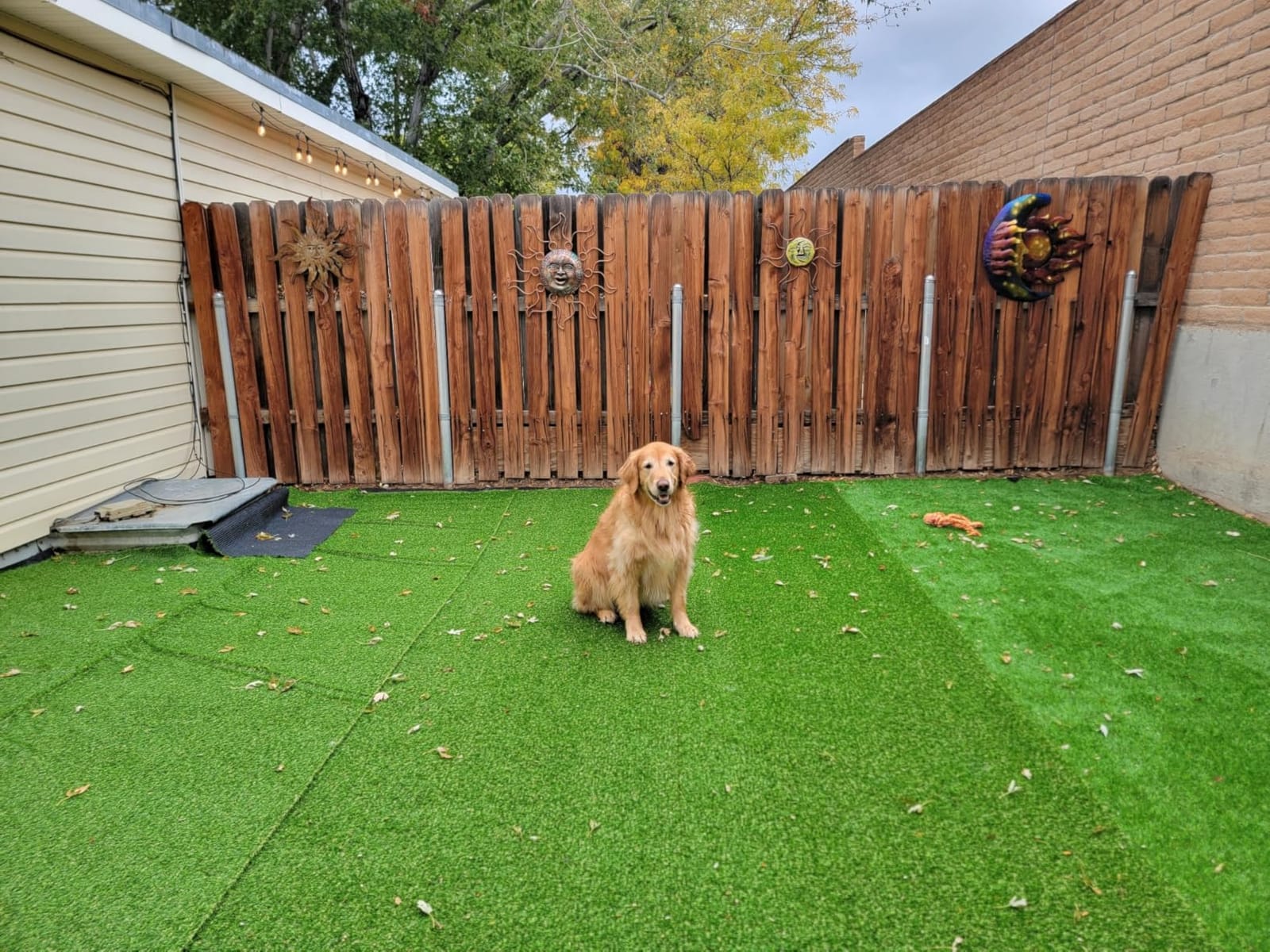 Heyroll Artificial Turf Grass Indoor Outdoor 7 ft x 15 ft, 0.8 inch Realistic Synthetic Fake Grass, Artificial Lawn Rug Dog Pets Mat, Turf Carpet for Patio Landscape Backyard, Custom Size customer photo 1