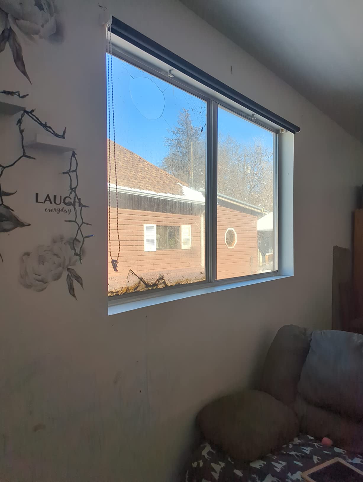 NUTRO CHILL Blackout Roller Shades Blinds for Window 34