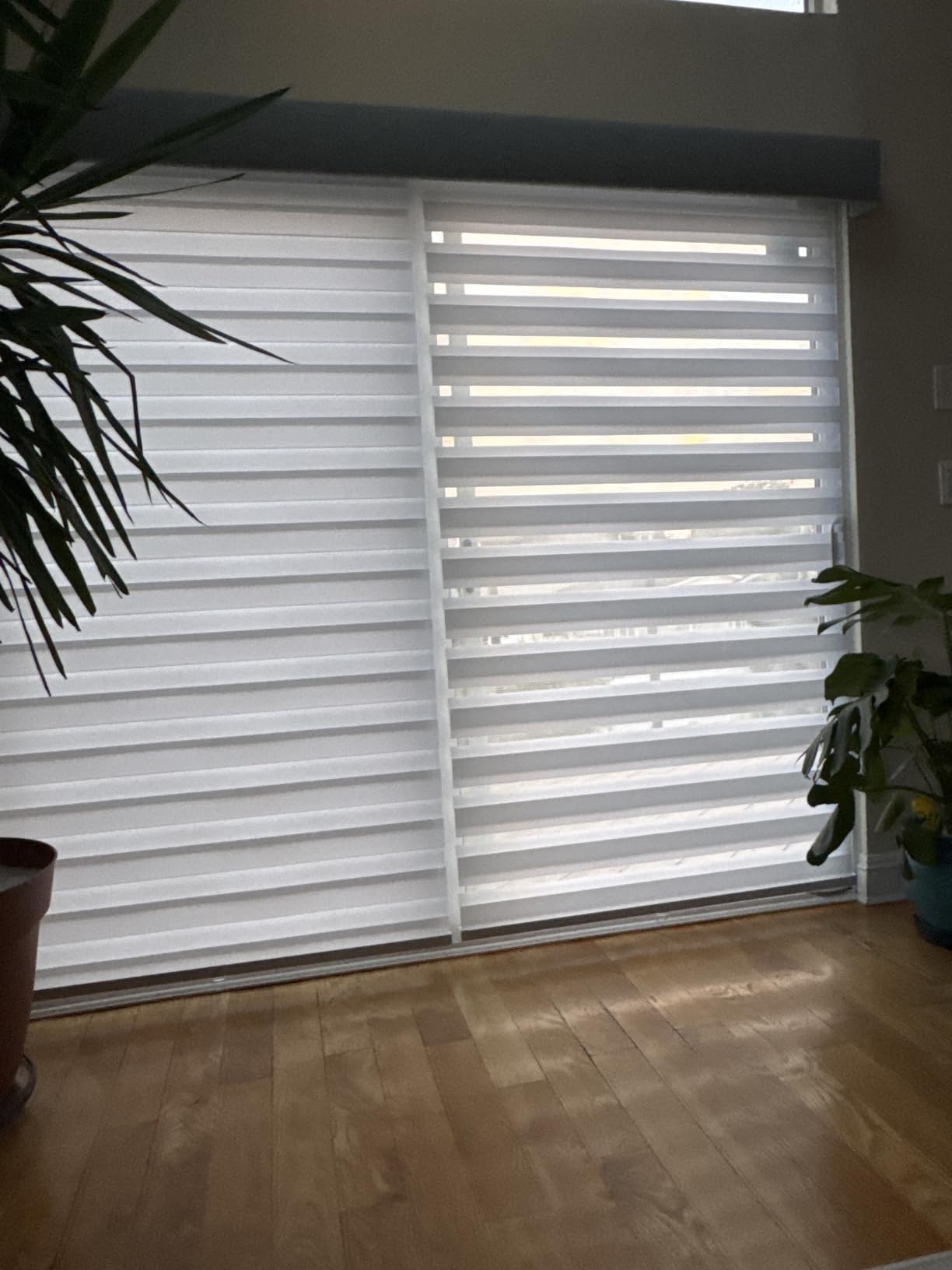 Persilux Cordless Zebra Blinds for Windows Free-Stop Window Blinds (34