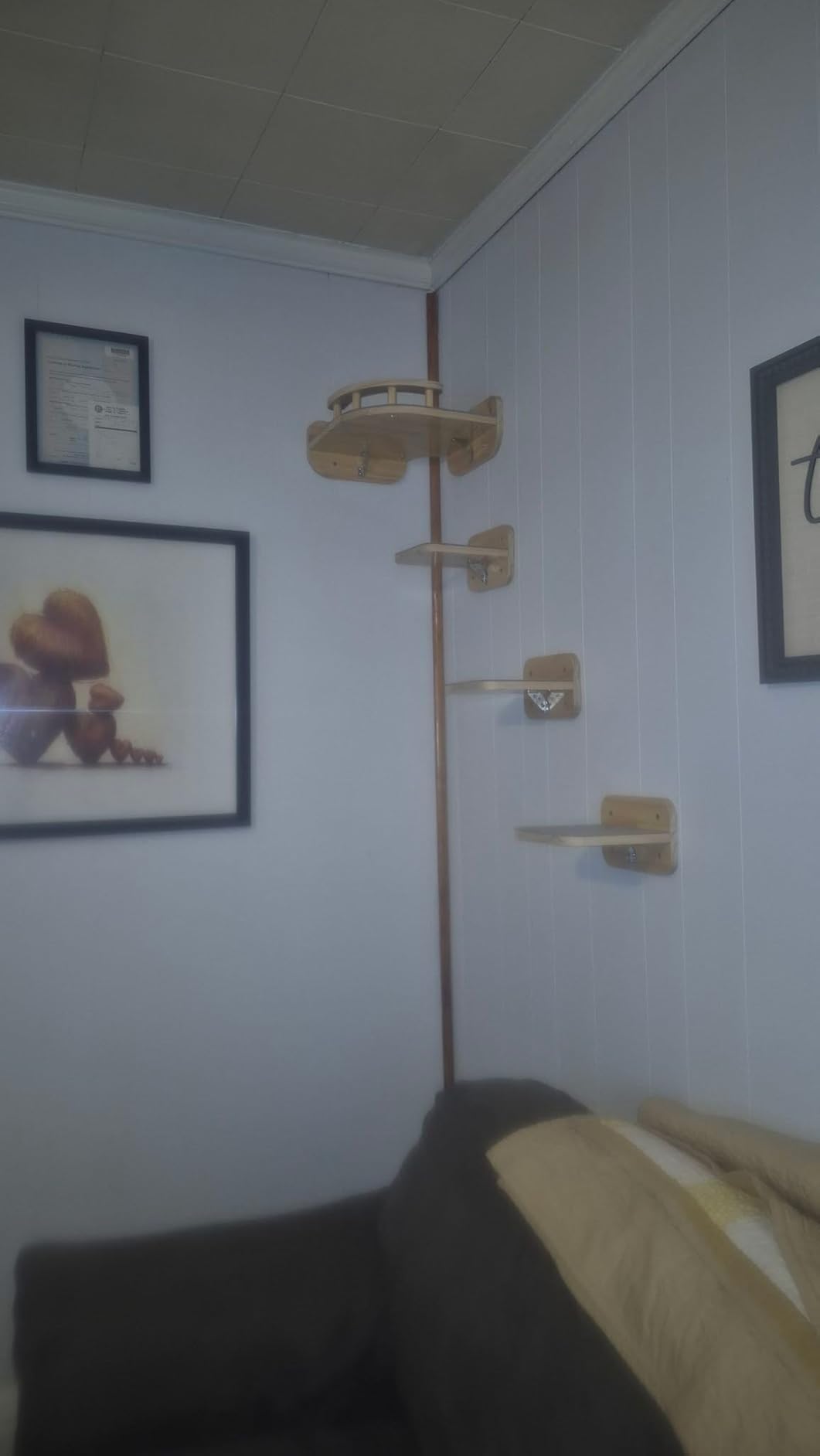 Megidok Cat Wall Furniture Corner Climbing Shelf Perches, Cat Bed Wall Mounted with 3 Wide Steps,Modern Floating Stairs for Wall Indoor Cats up to 22 Lbs for Cats - Wood Color customer photo 2