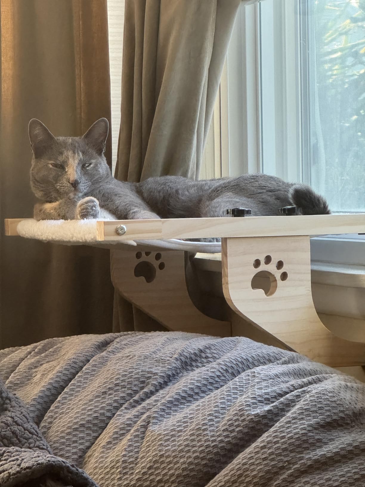 AMOSIJOY Cat Windowsill Perch with Wood & Metal Frame for Large Cat, 21.7in | Solid Wood Frame, Easy to Adjust, Washable Berber Fleece Cover, No Suction Cups Cat Window Seat for Windowsill, Bedside customer photo 1