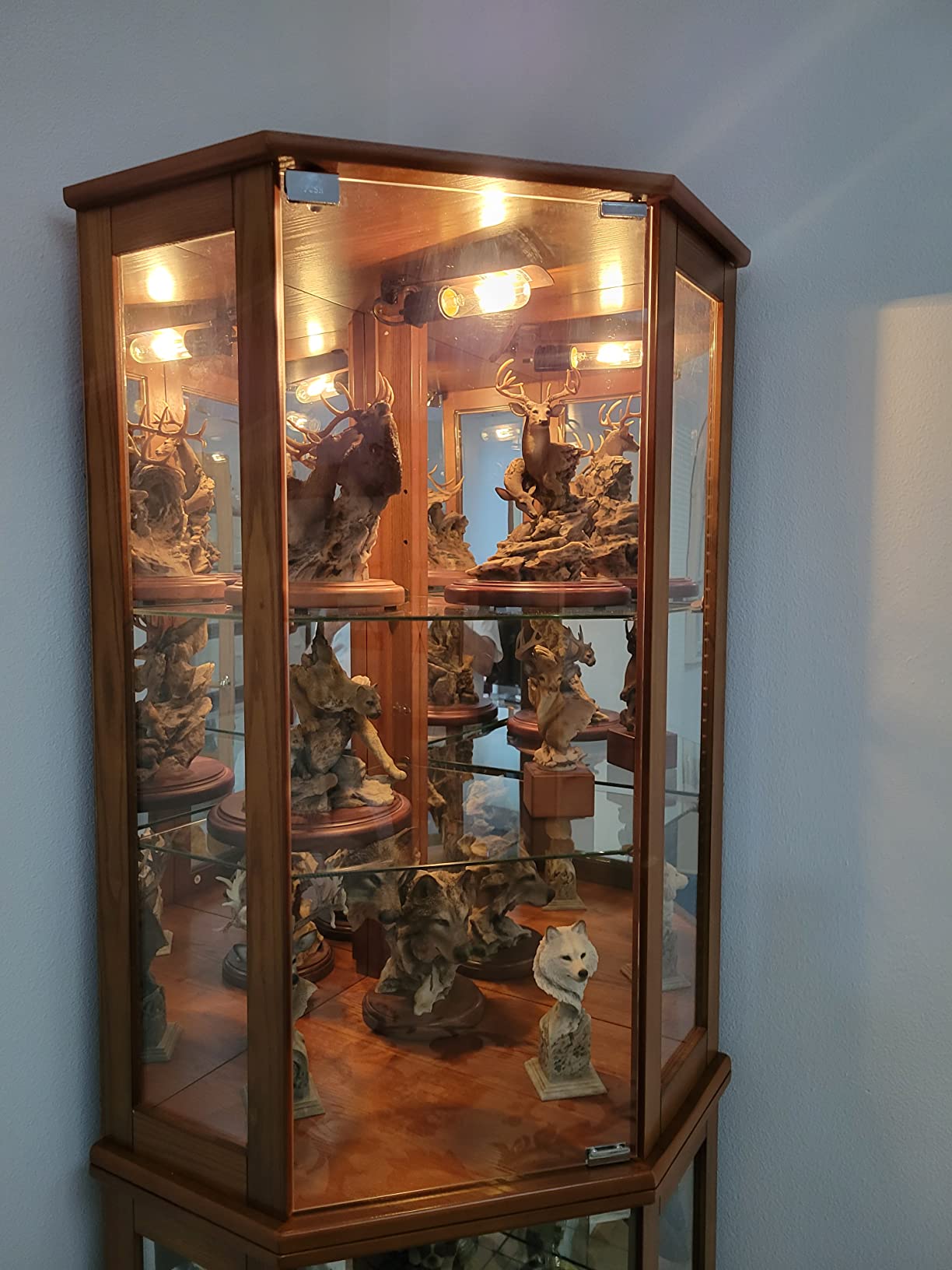 BELLEZE Lighted Curio Cabinet Corner Display Case for Living Room, China Hutch with Tempered Glass Doors and Shelves, Wooden Accent Cabinet, Bar and Liquor Storage Area - Ashfield (Oak) customer photo 1