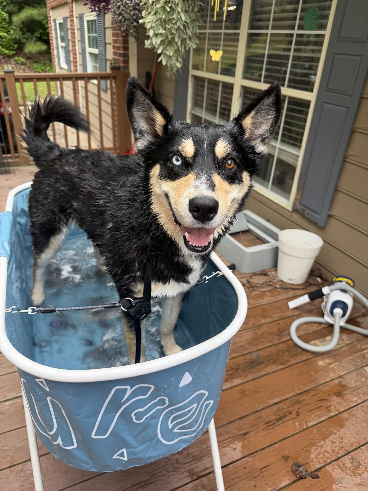 Furesh Foldable Dog Washing Station for Large Dogs with Stairs | Reinforced aluminum frame with foldable stairs customer photo 2