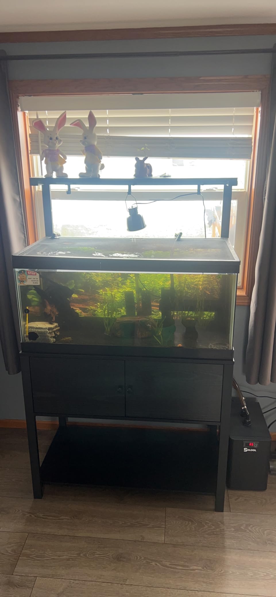 Aquarium Chiller 42gal, 1/10 HP Water Chiller 160L Fish Tank Hydroponics Cooling System with Quiet Design Refrigeration Compressor for Water Weeds Axolotl Jellyfish Coral Shrimp customer photo 1