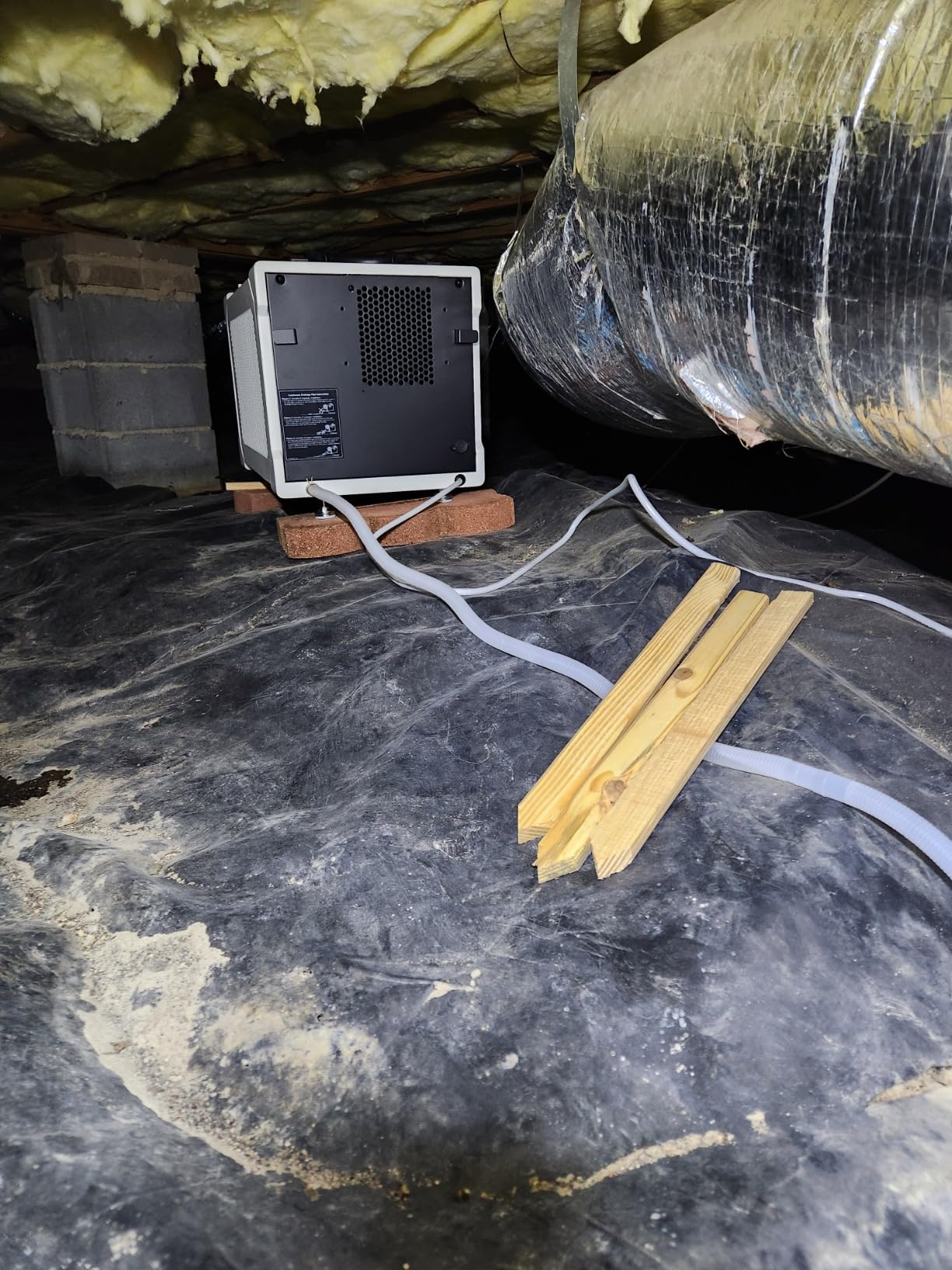 155 Pint Commercial Dehumidifier with Drain Hose for Crawl Spaces | Basements, Industry Water Damage Unit, Large Capacity, Compact, Portable, Auto Defrost, Memory Starting | Moiswell Defender M145 customer photo 2