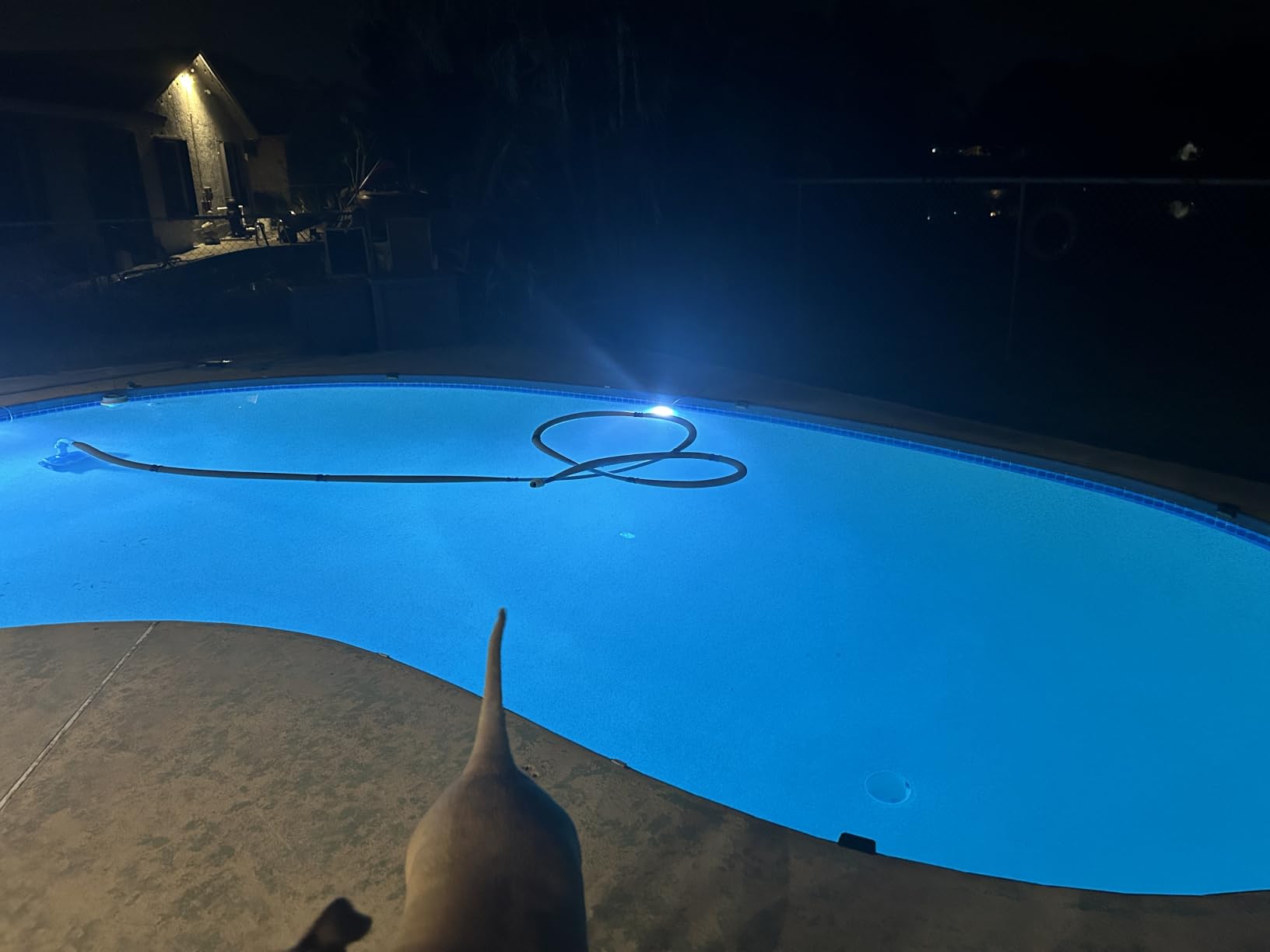 LyLmLe LED Pool Lights 40W Double Lights with APP Control for Giant Pools | 12V Underwater Light with Magnet & Timer, 1600lm, IP68 Waterproof Submersible Light for Aboveground and Inground Pools customer photo 1