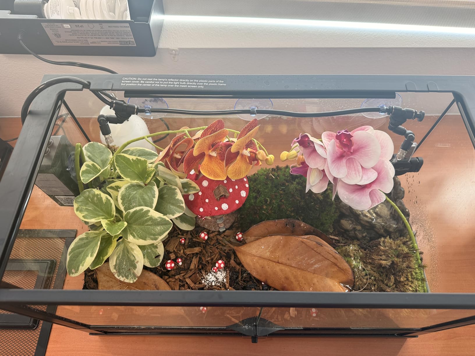 Moistenland WiFi Enabled Reptile Mister for Terrariums, Reptile Misting System for Snake Ball Python Tortoise Lizard Aquarium with 2 Adjustable Misting Nozzles customer photo 2