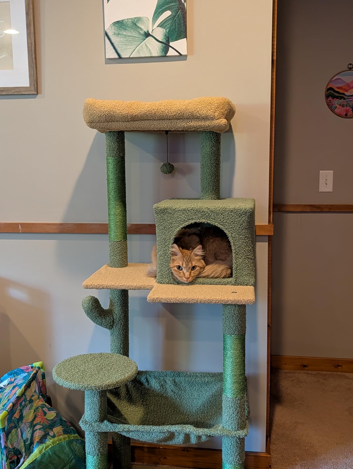 MUTTROS Cat Tree for Large Cats Adult with Metal Plush Big Hammock, 56.3