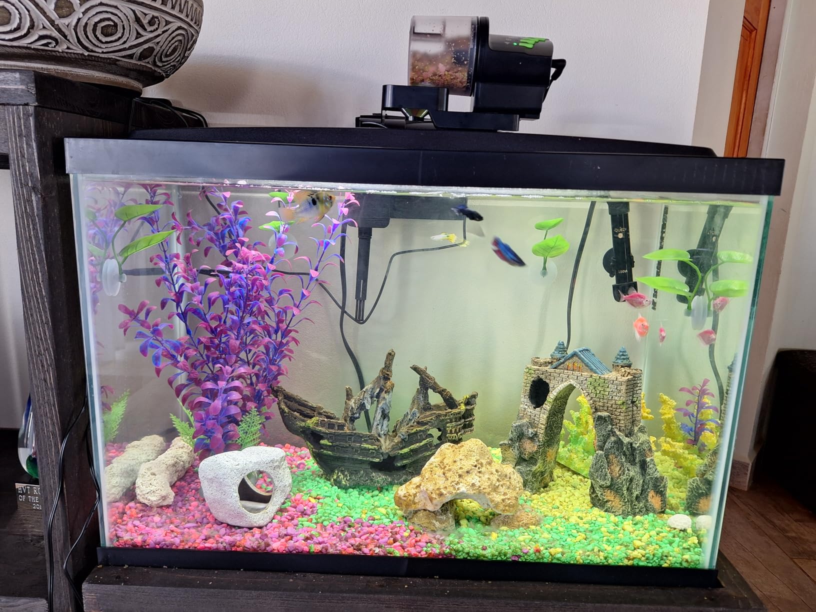 DXOPHIEX WiFi Fish Feeder Automatic Fish Feeder Automatic Dispenser | Vacation, For Aquarium and Turtle Tank, With Feeding Ring customer photo 1